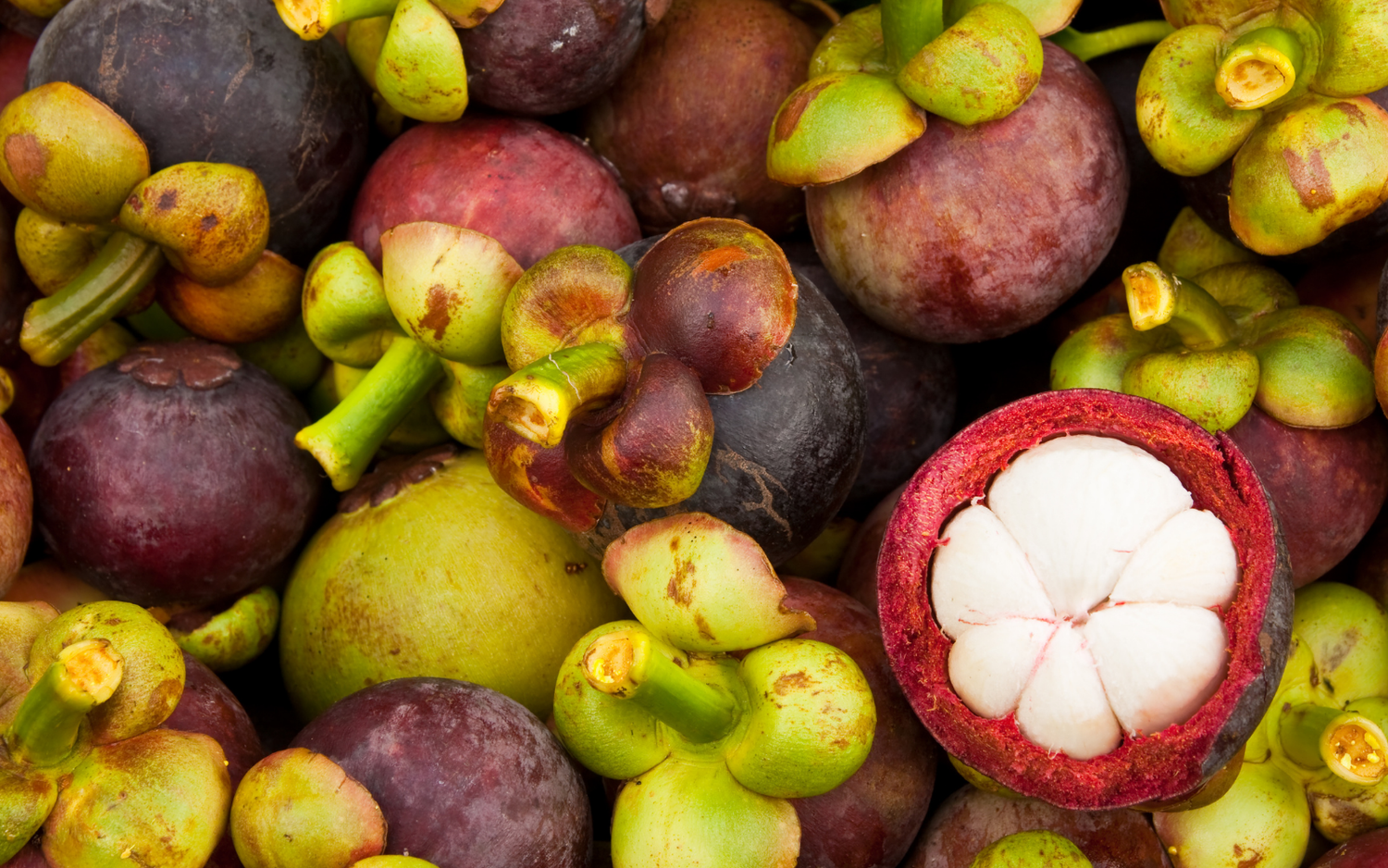 The Powerful Health Benefits Of Mangosteen Fruit