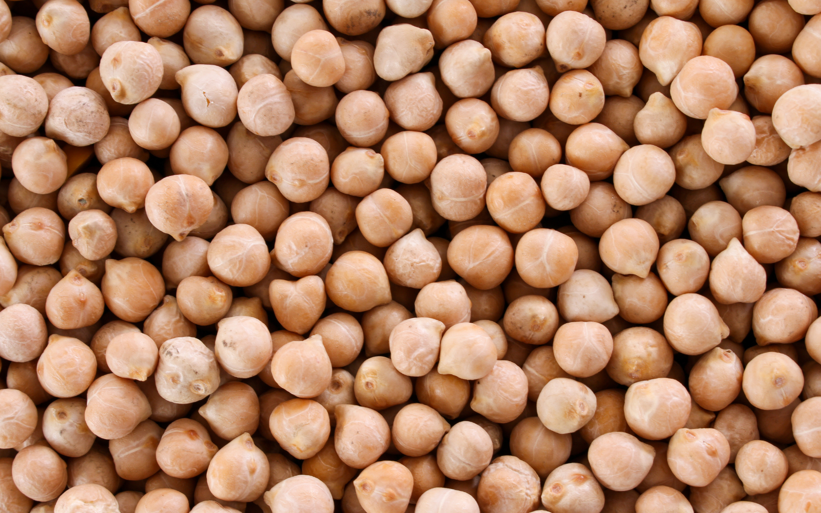 does pea protein have glutathione Buy Isolate 85% with Natural Digestive Enzymes | 100% Vegan & Plant-Based, Non-GMO, Gluten Free | BCAAs, Amino Acid, Lean Muscle Development processed in the USA and packaged in our Wisconsin based facility using USA made packaging materials Pea Protein Isolate | Buy
