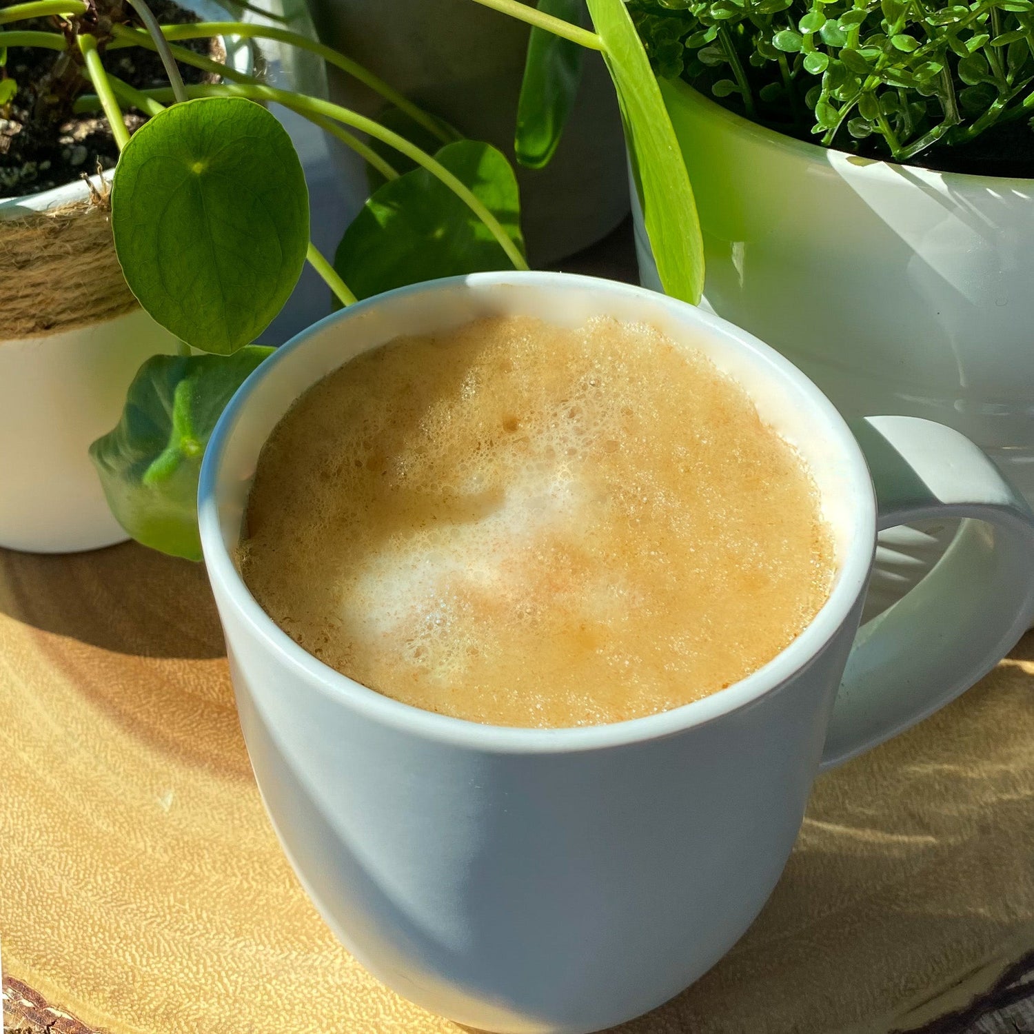 Maple Mushroom Dolce Latte