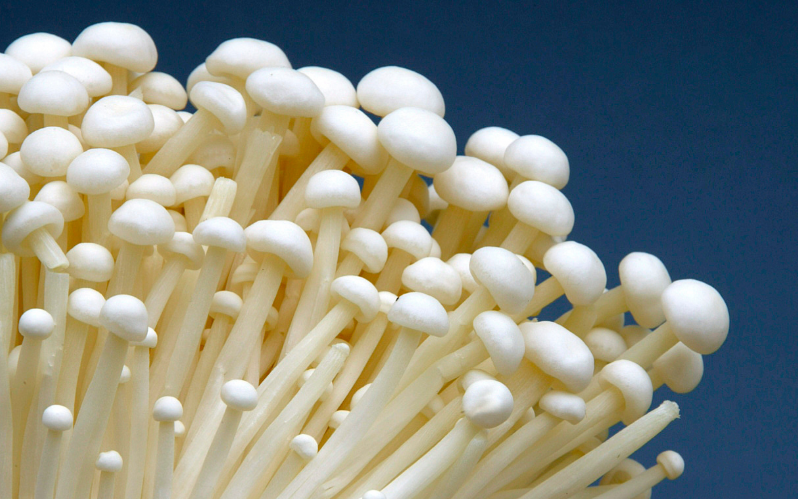 The Complete Guide To Enoki Mushrooms