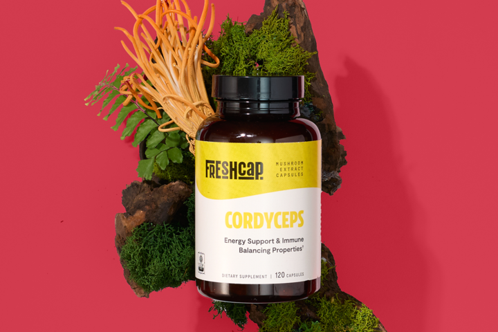 Unlock the Science Behind Medicinal Mushrooms