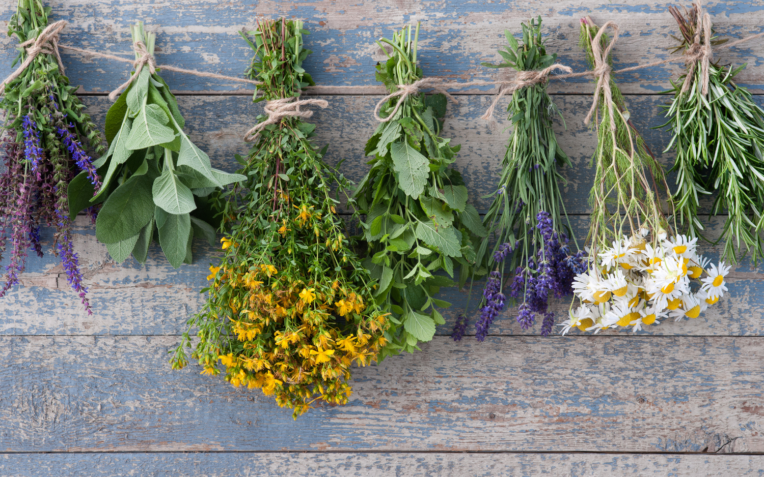 9 Immune Boosting Herbs (and Habits) For Staying Healthy All Year