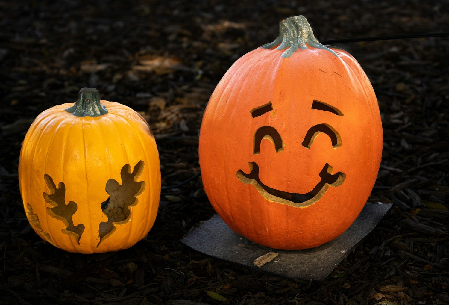 Halloween Reset: Brew Your Wicked Green Elixir