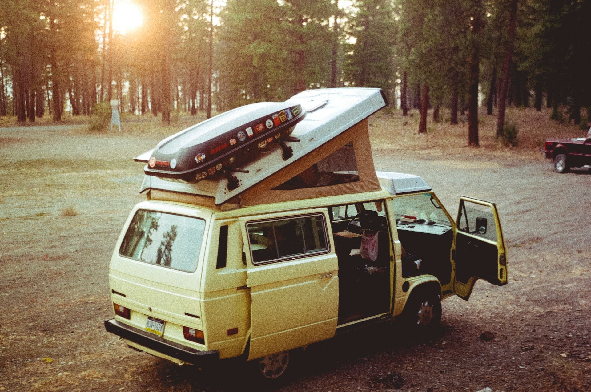Mushroom on the Go: Travel-Friendly Tips for Summer Wellness