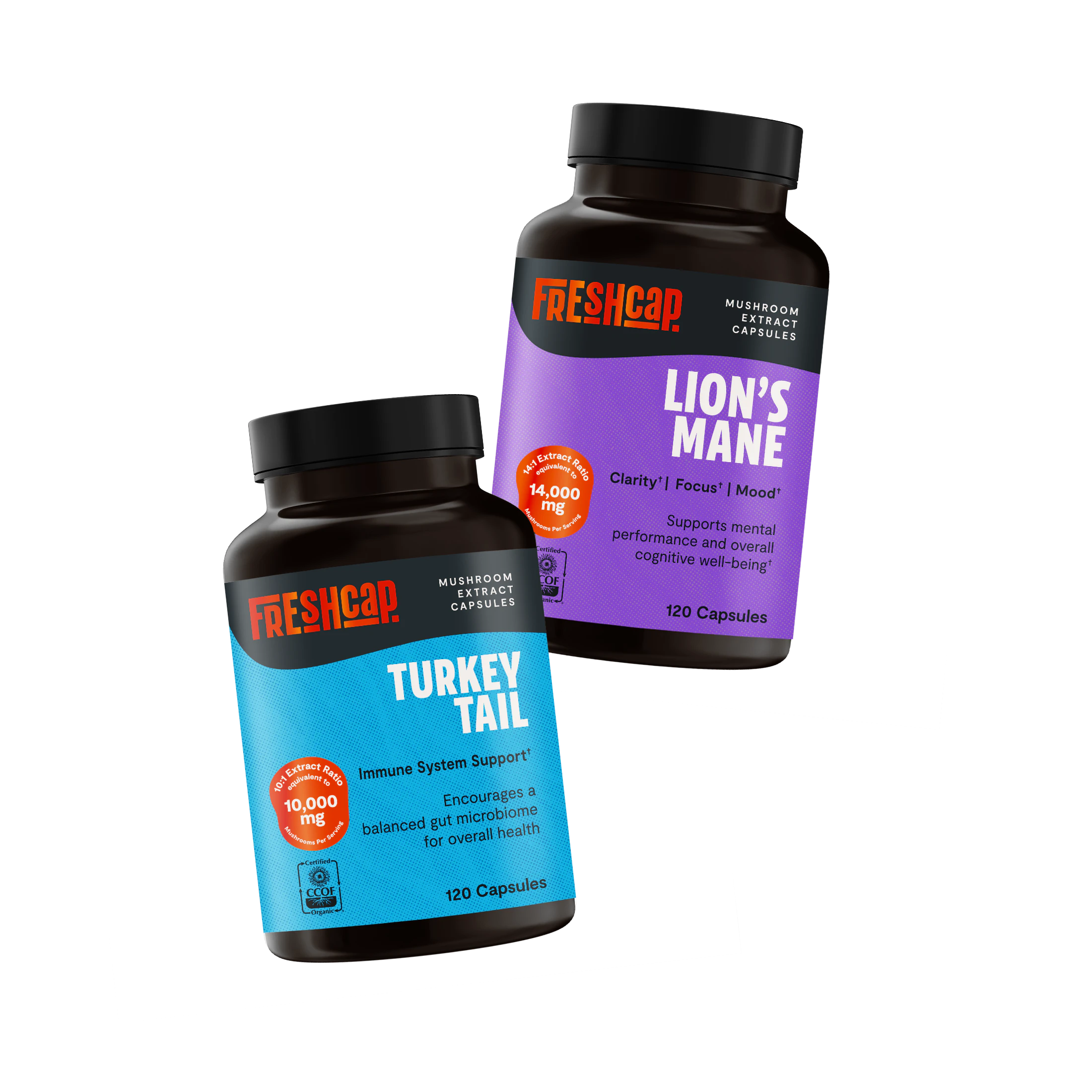 Brain and Body Stack (Capsules)