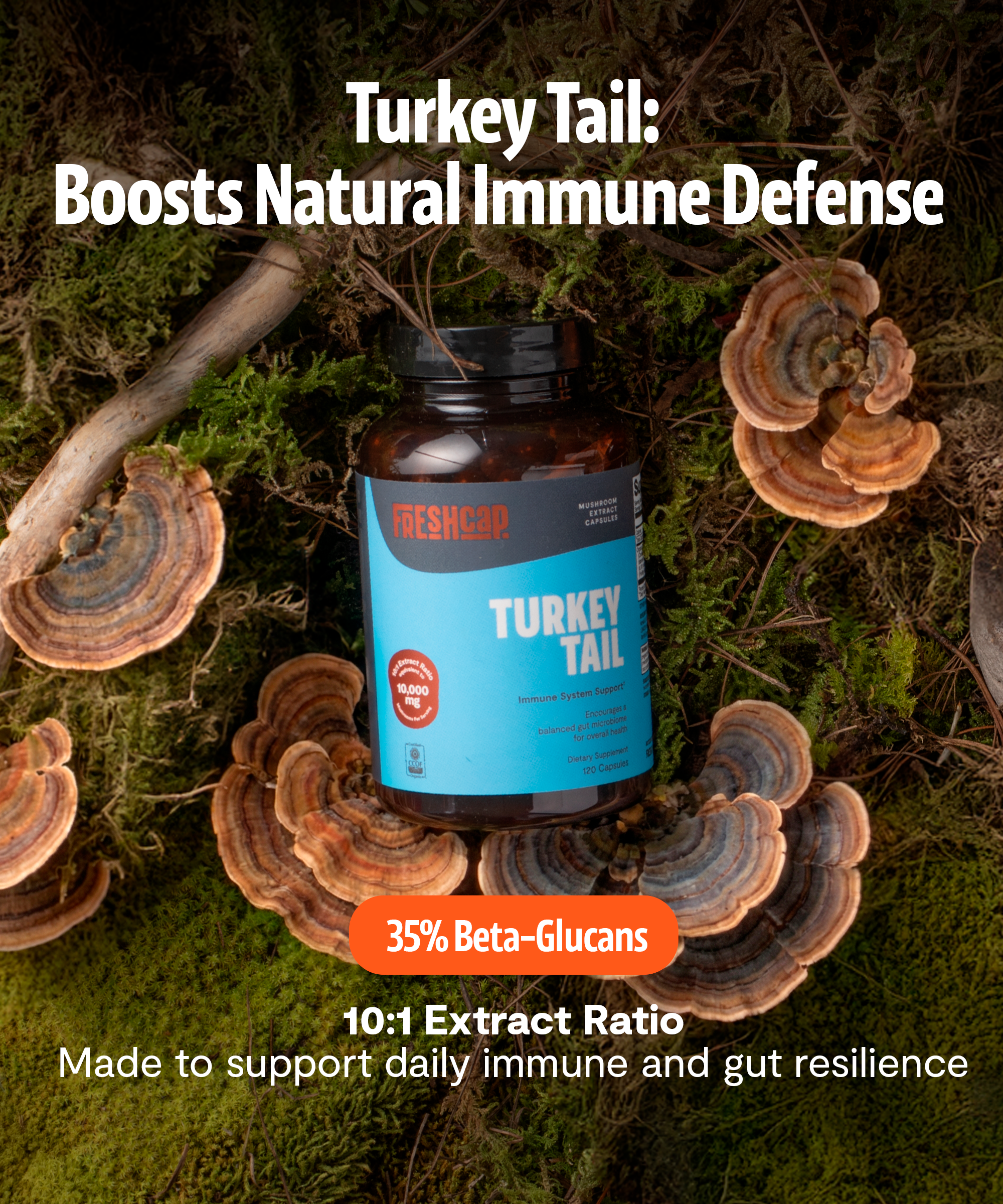 Turkey Tail Mushroom Extract Capsules