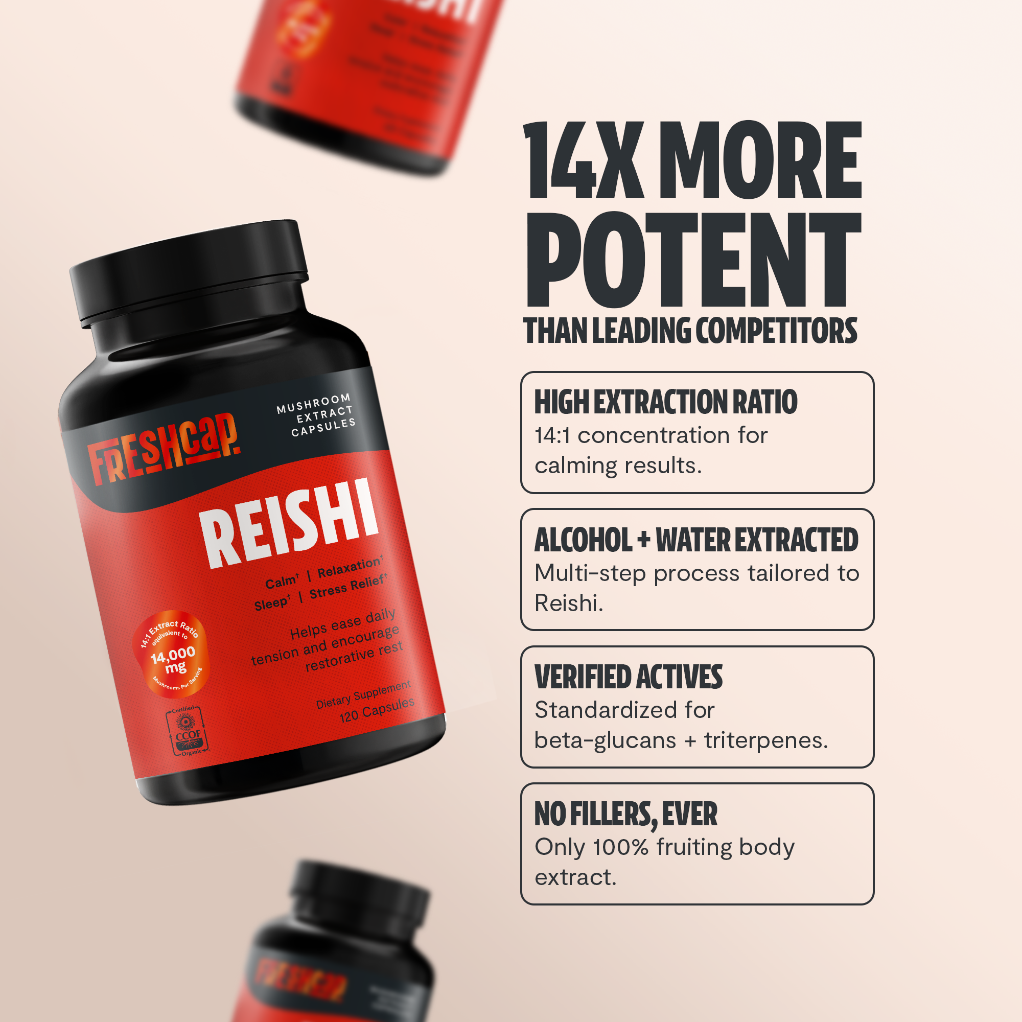 Reishi Mushroom Extract Capsules