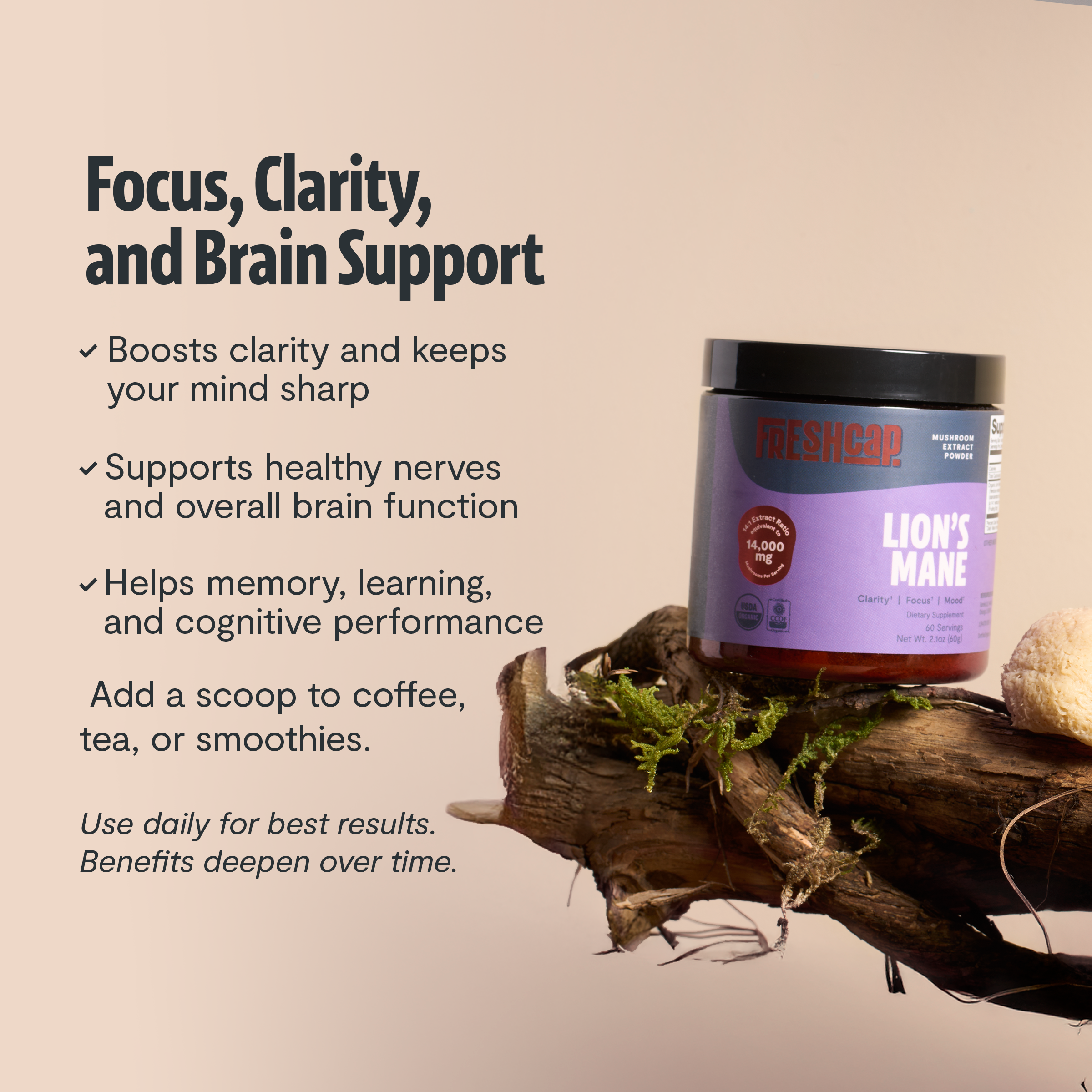 Lion's Mane Mushroom Extract Powder