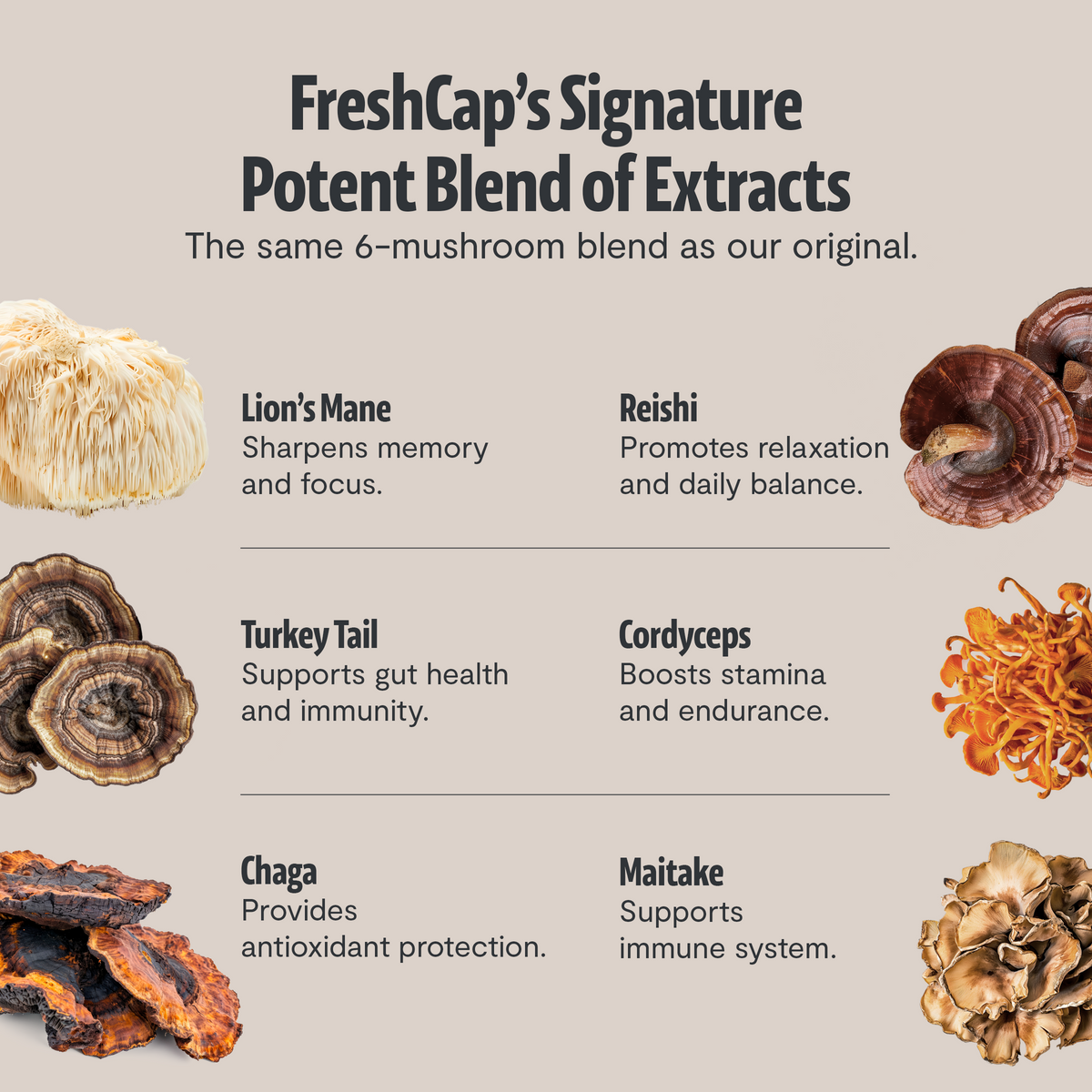 Ultimate Mushroom Decaf Coffee