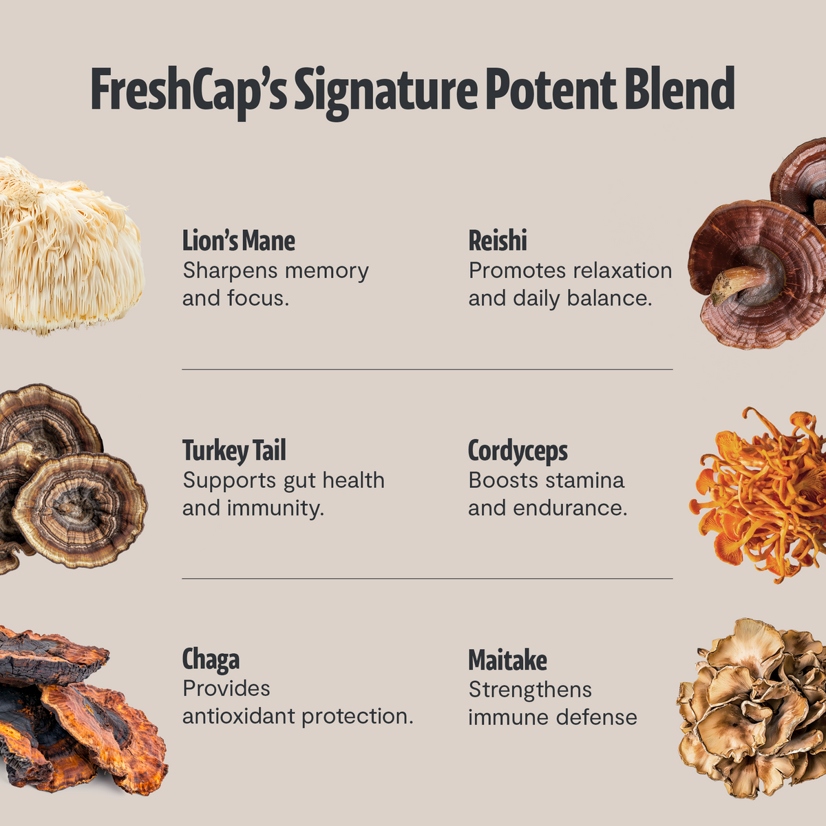 Ultimate Mushroom Coffee (45-servings) - New Customers
