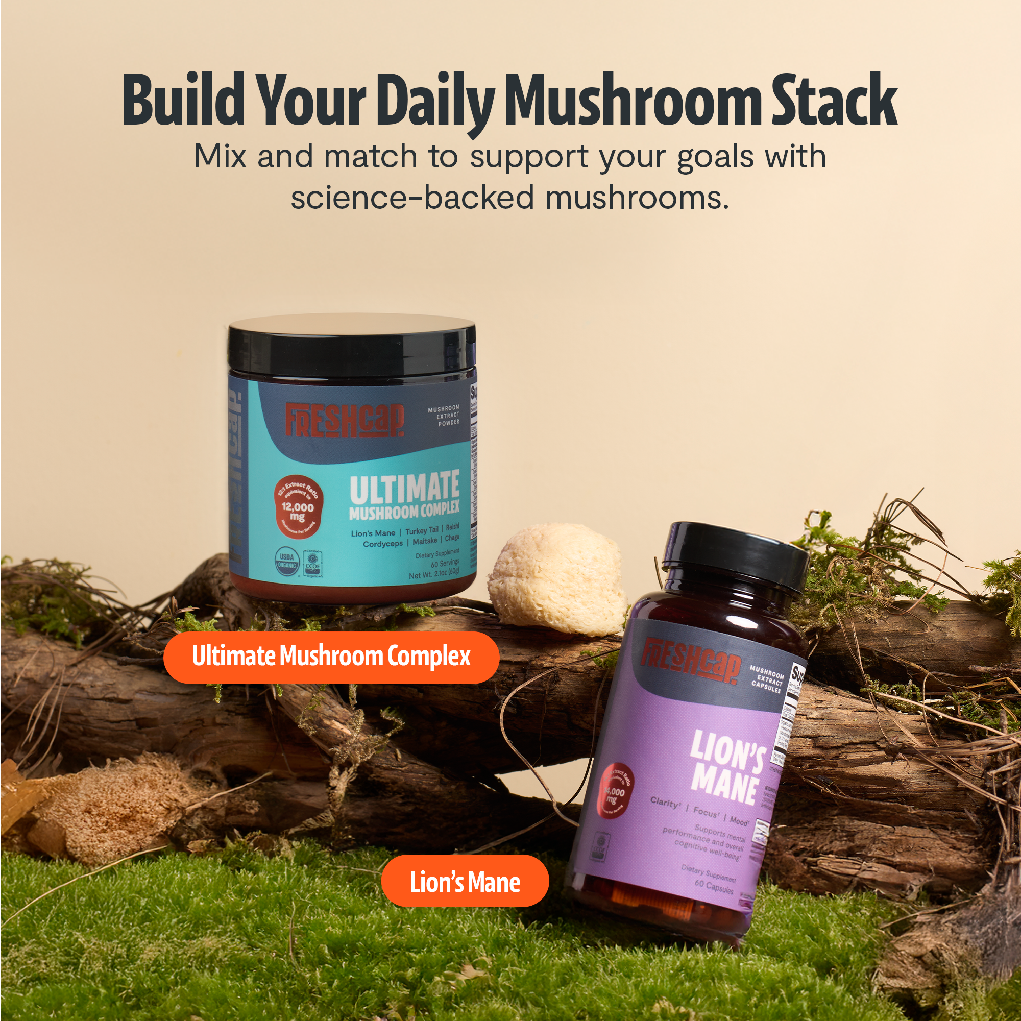 Lion's Mane Mushroom Extract Capsules