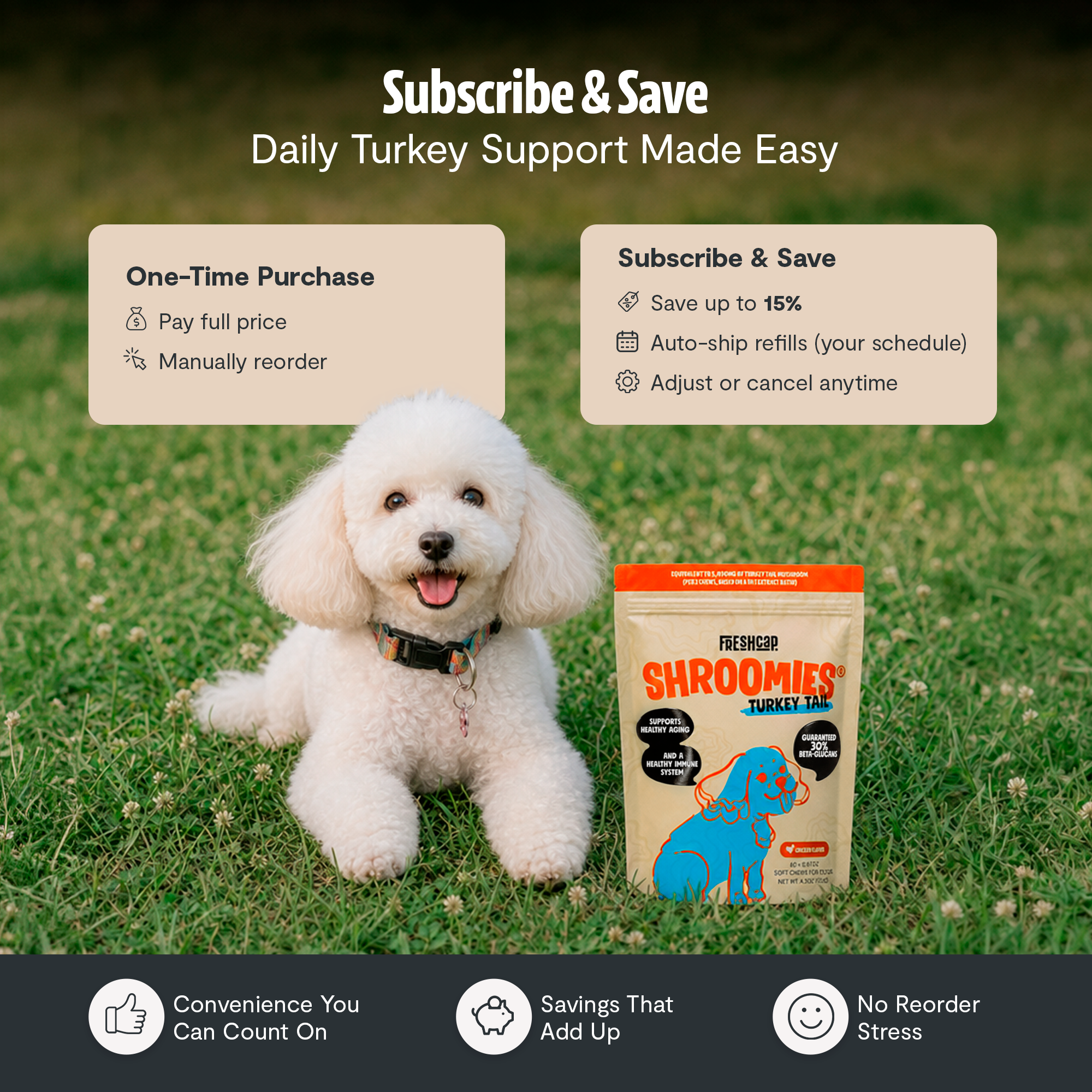 Shroomies Turkey Tail Mushroom Chews For Dogs