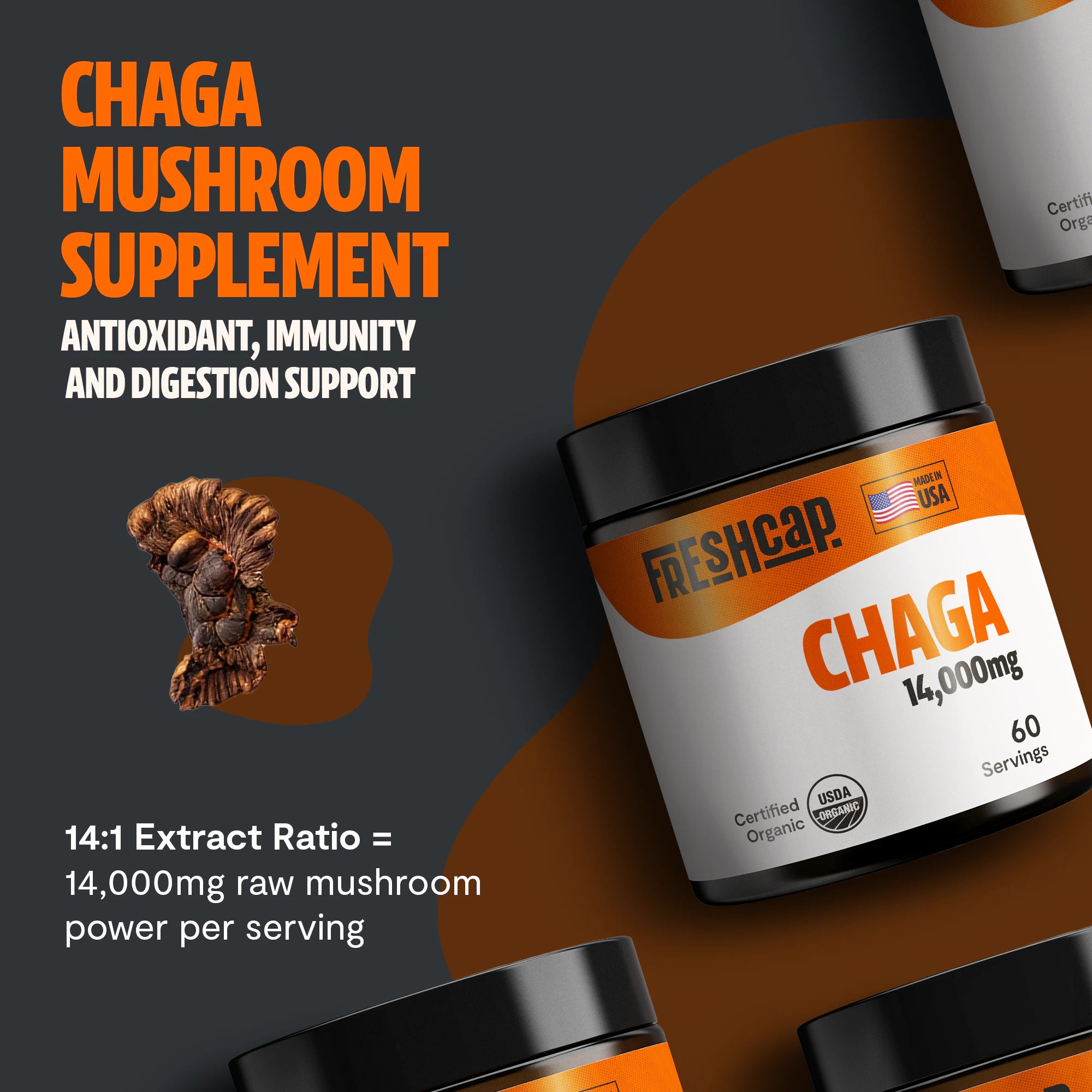 Chaga Mushroom Extract Powder