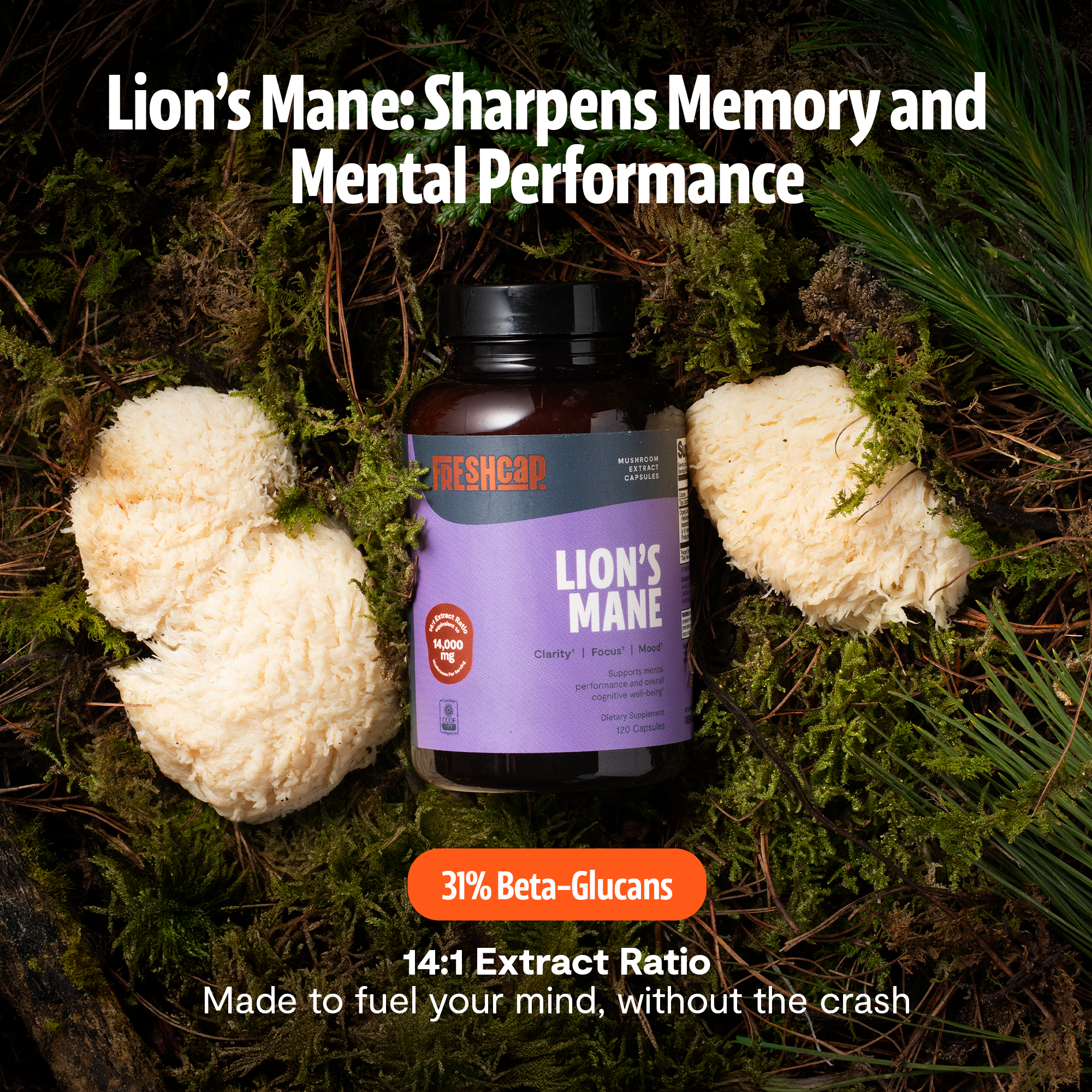 Lion's Mane Mushroom Extract Capsules