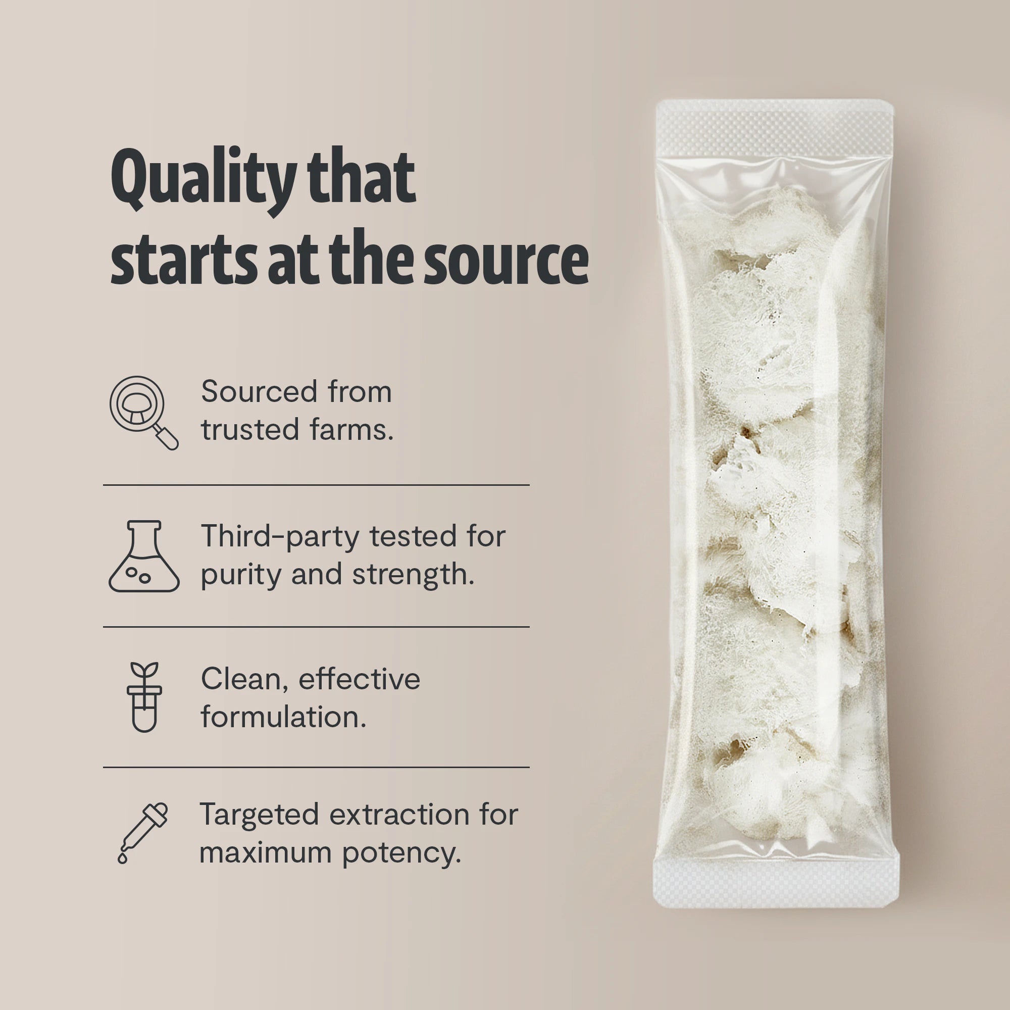 Lion's Mane Stick Packs