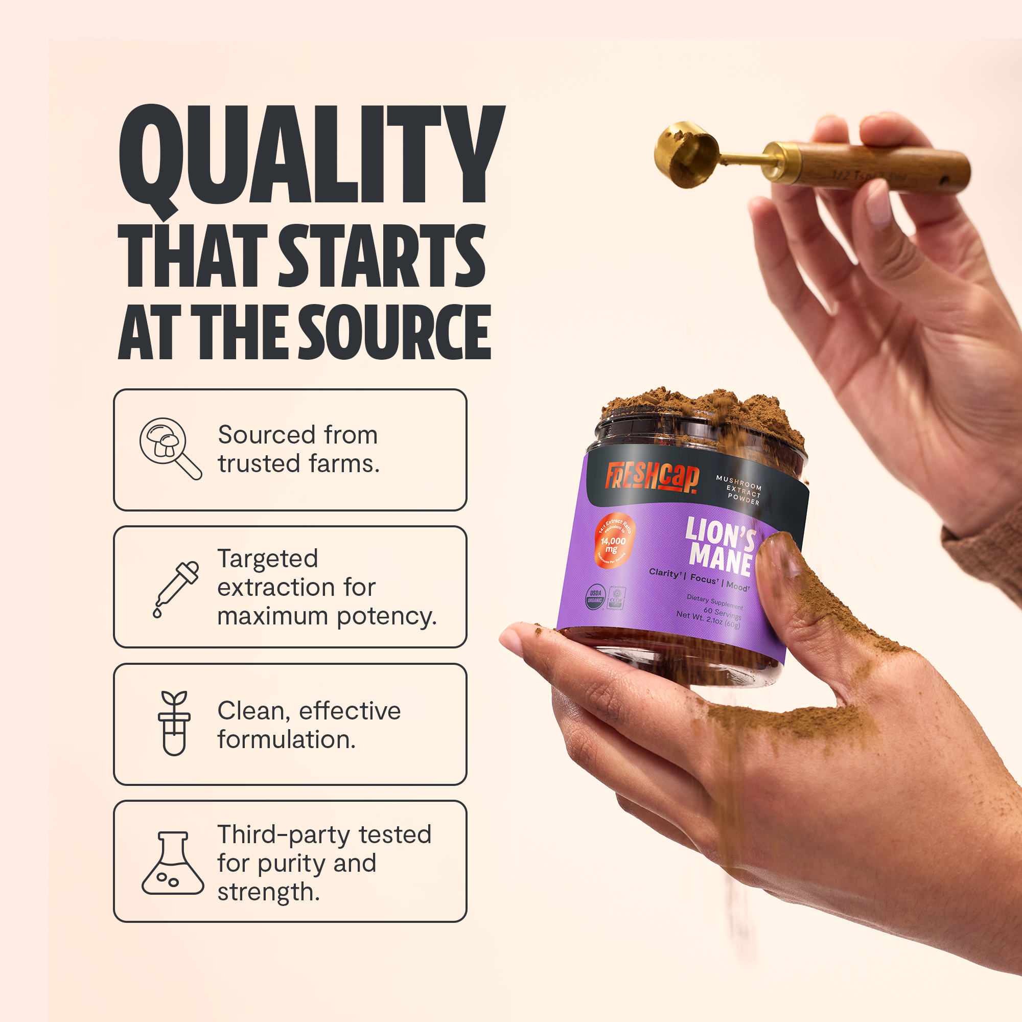 Lion's Mane Mushroom Extract Powder