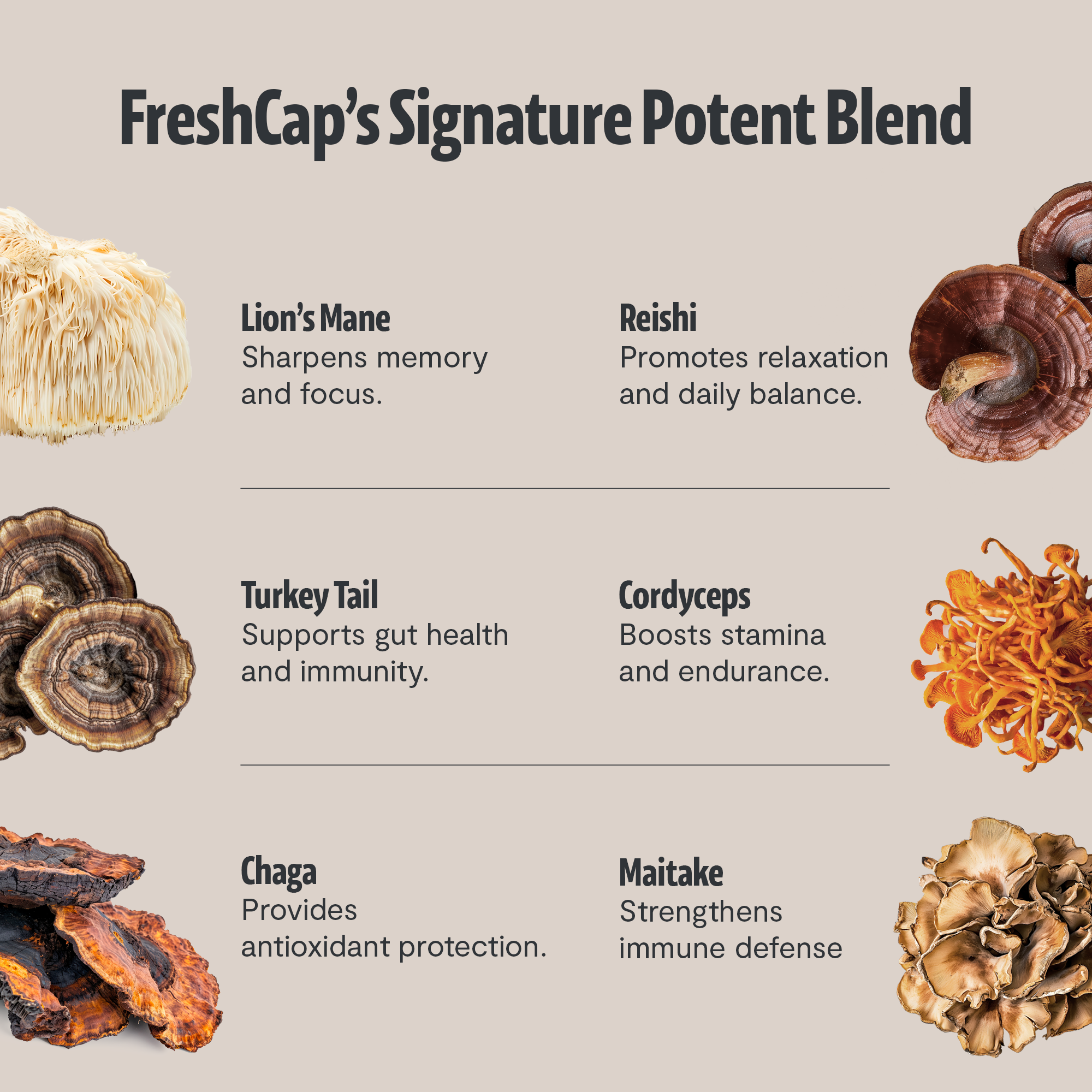 Ultimate Mushroom Coffee