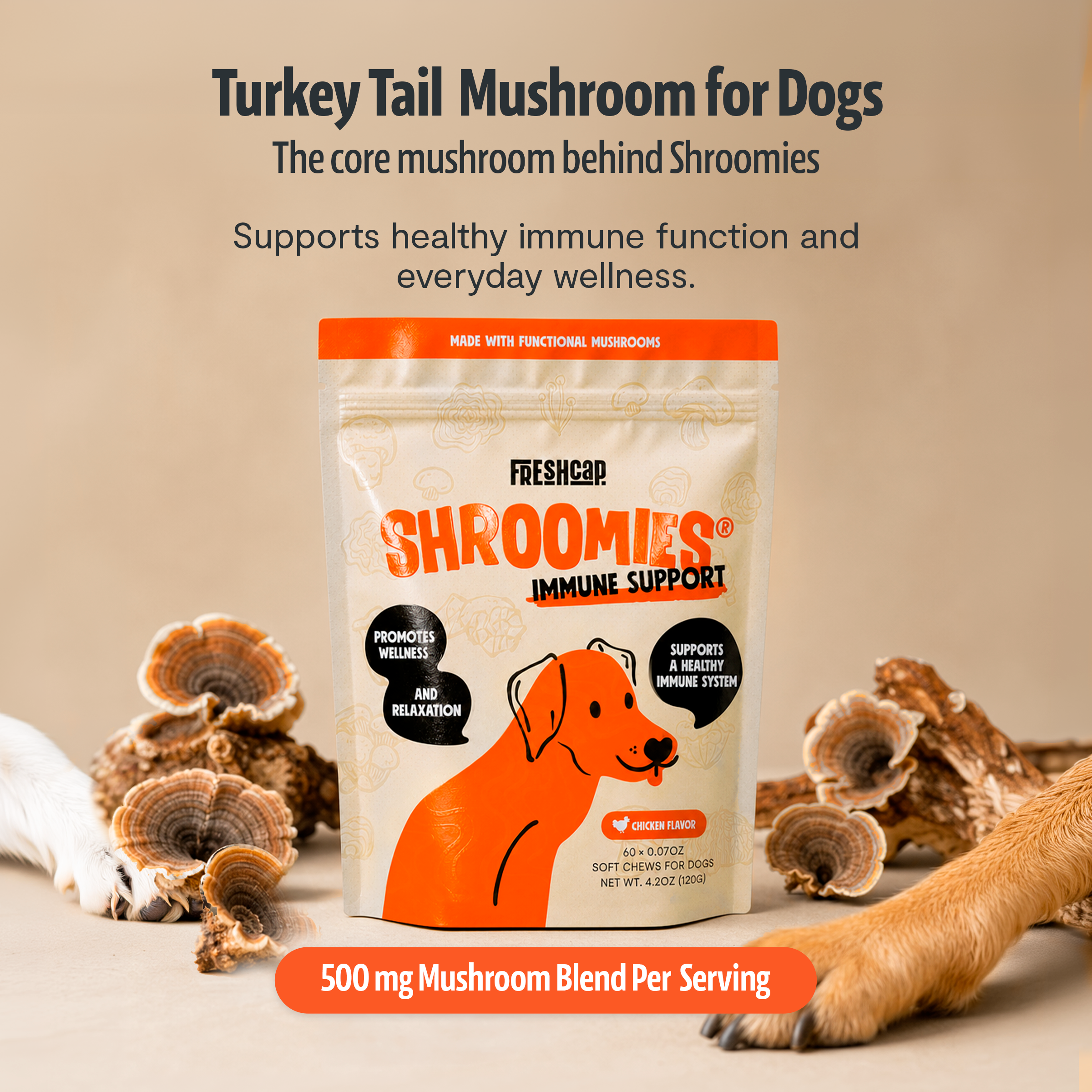 Shroomies Mushroom Chews for Dogs