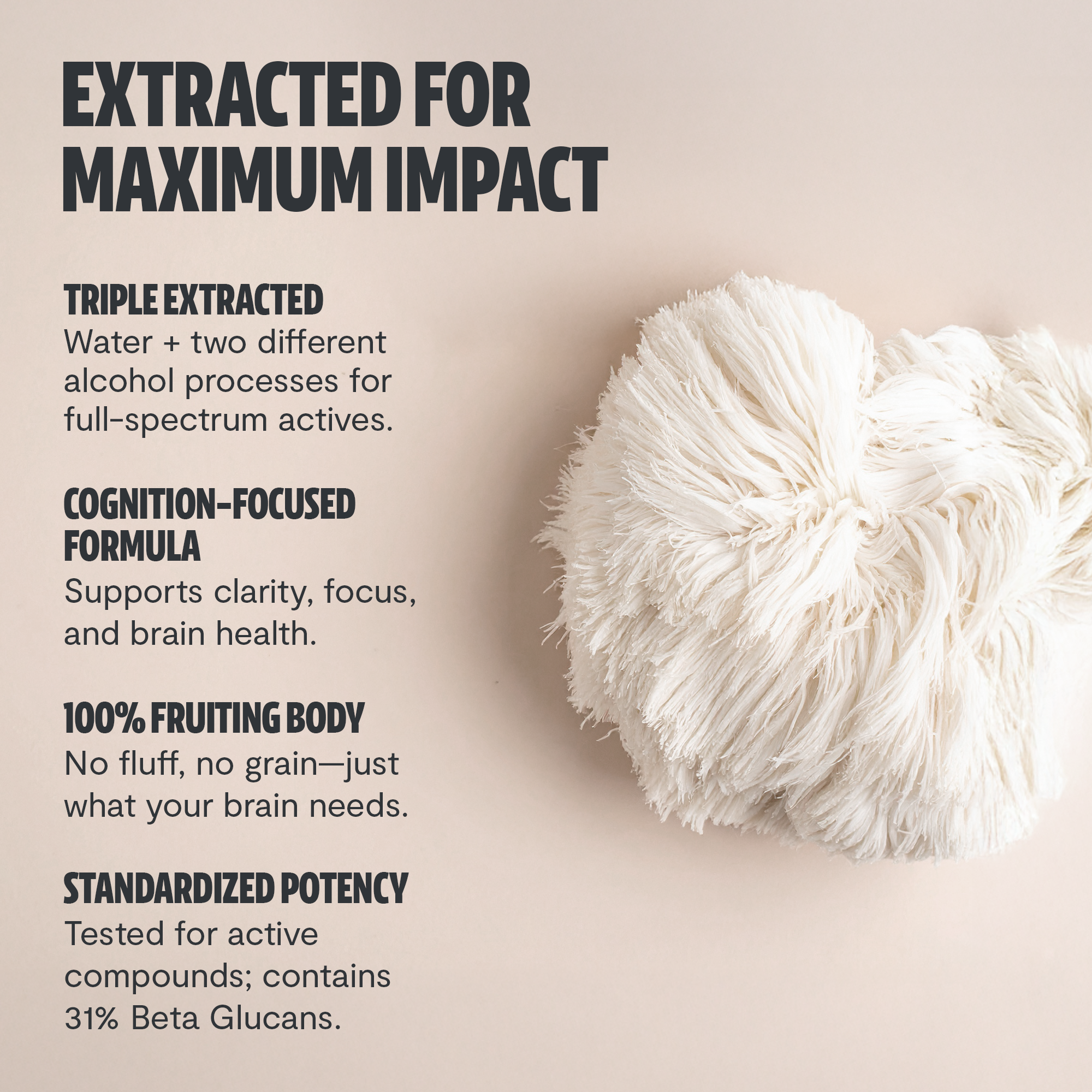 Lion's Mane Mushroom Extract Powder