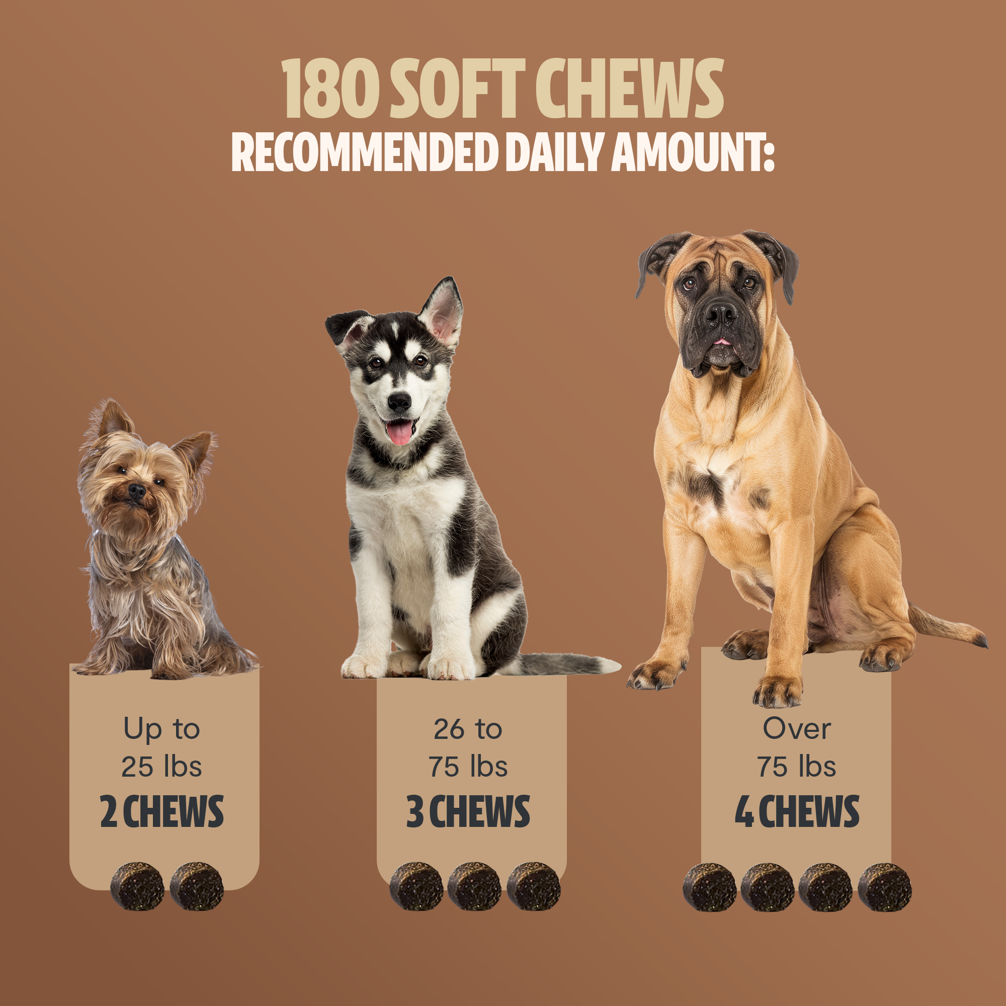 Shroomies® - Mushrooms For Dogs