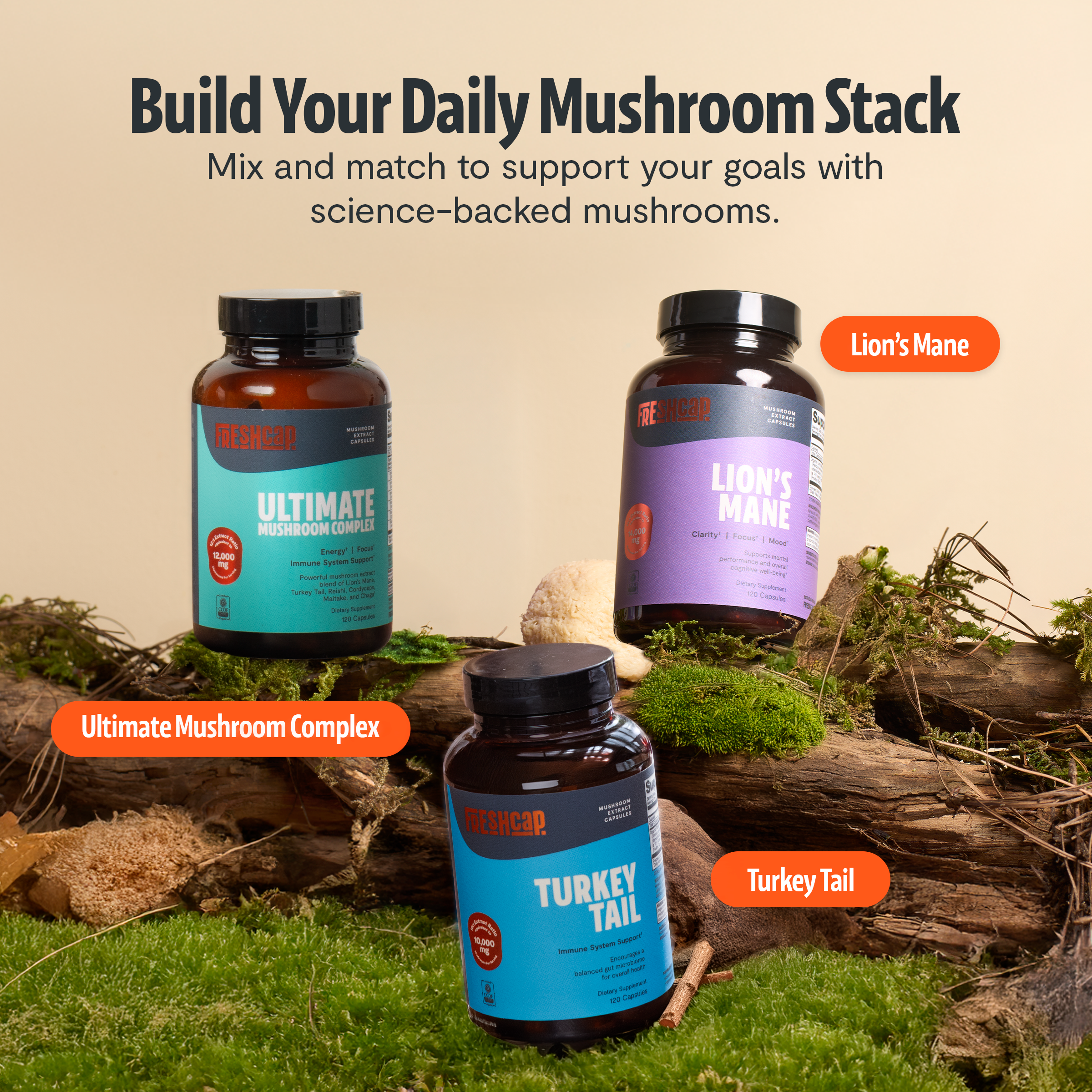 Lion's Mane Mushroom Extract Capsules