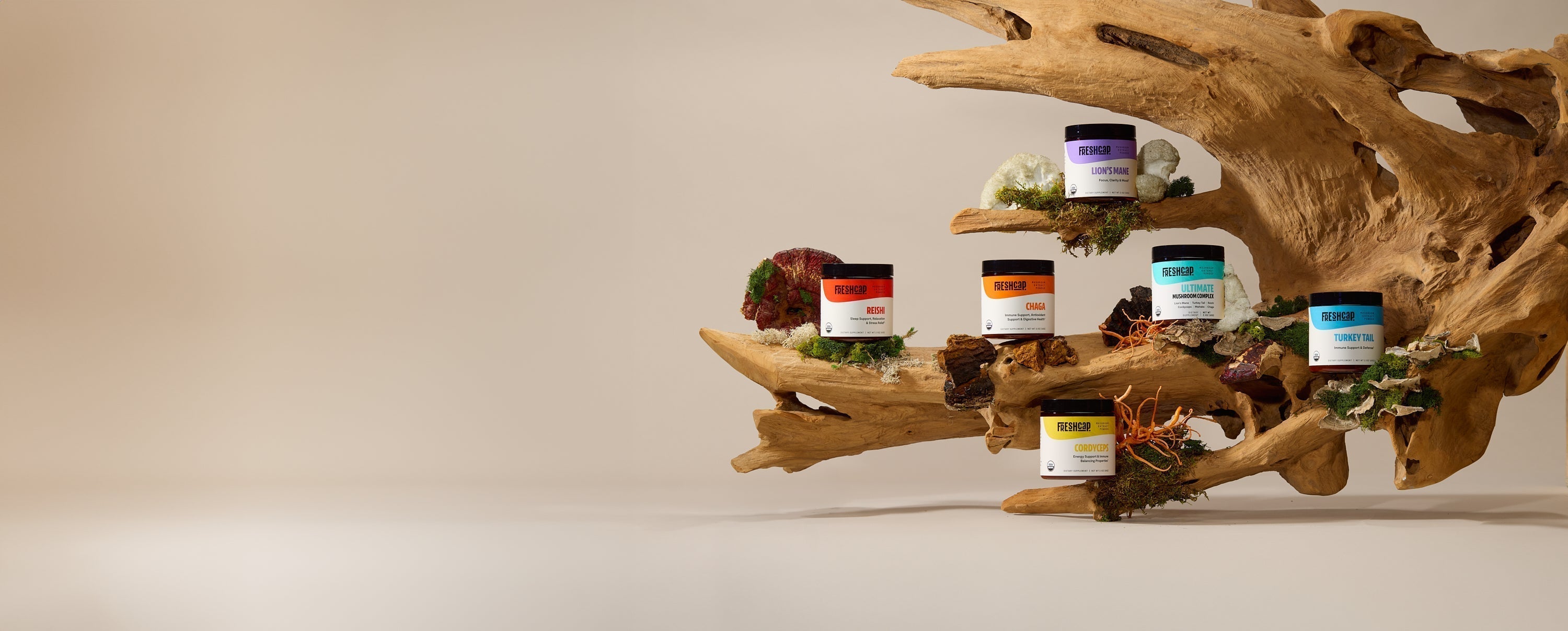 Drama-Free Wellness of FreshCap Mushroom Powders