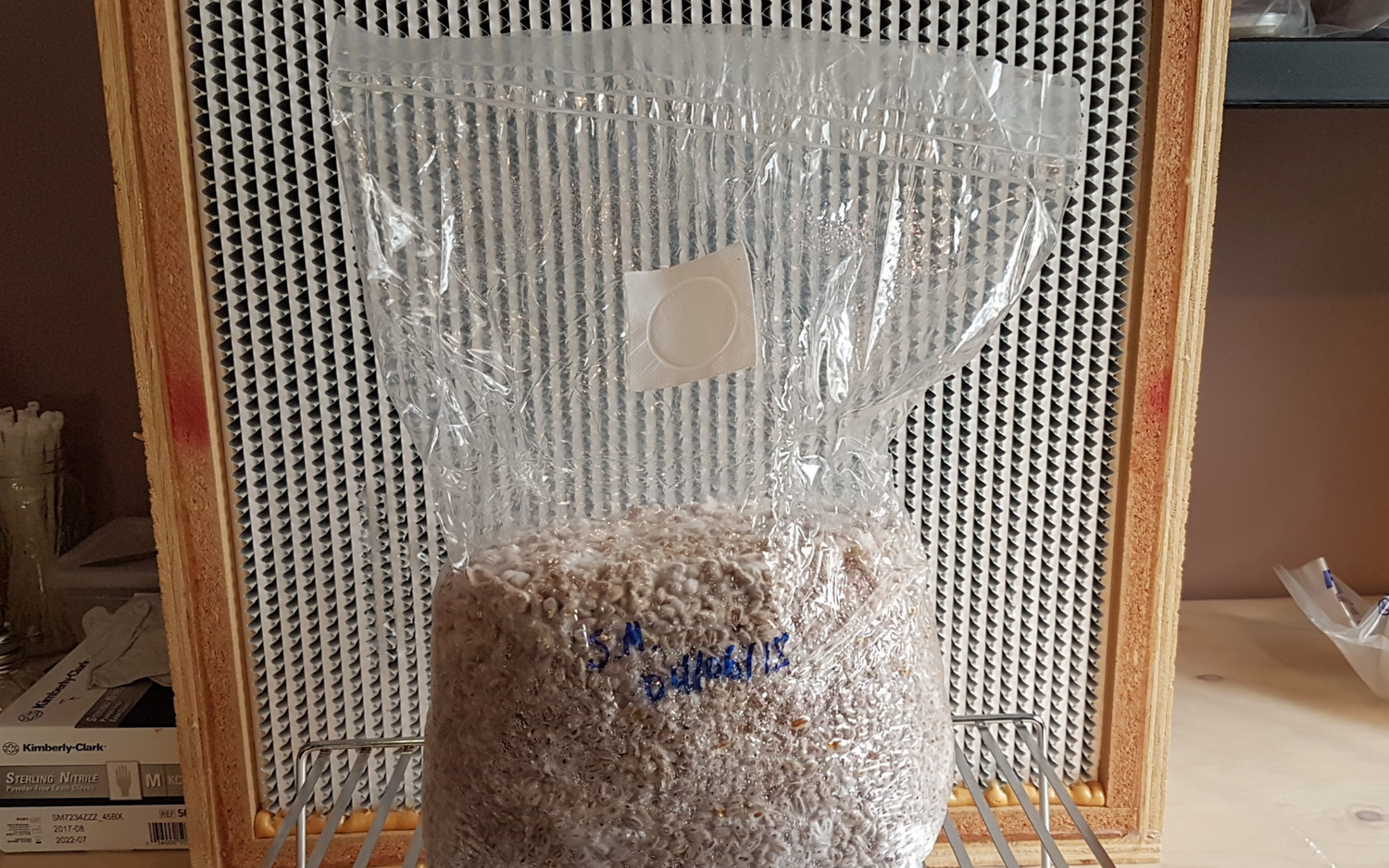 Mushroom Grow Bags: The Ultimate Guide