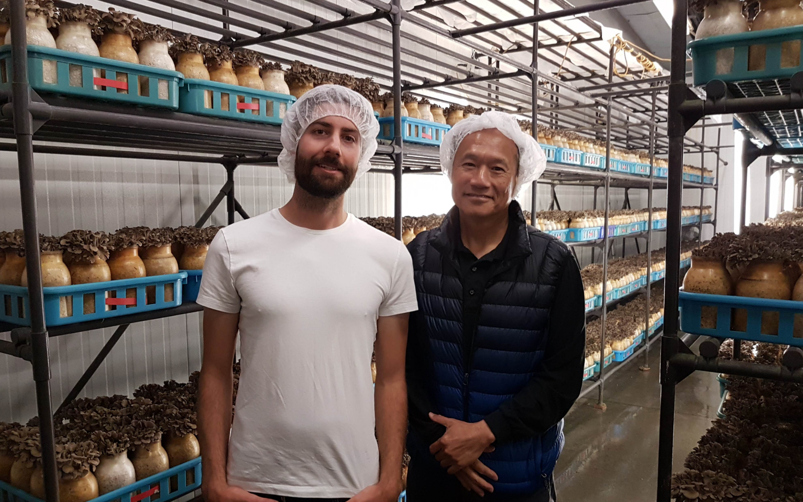 Grower Profile: Bottle Farm Mastery at Mycopia