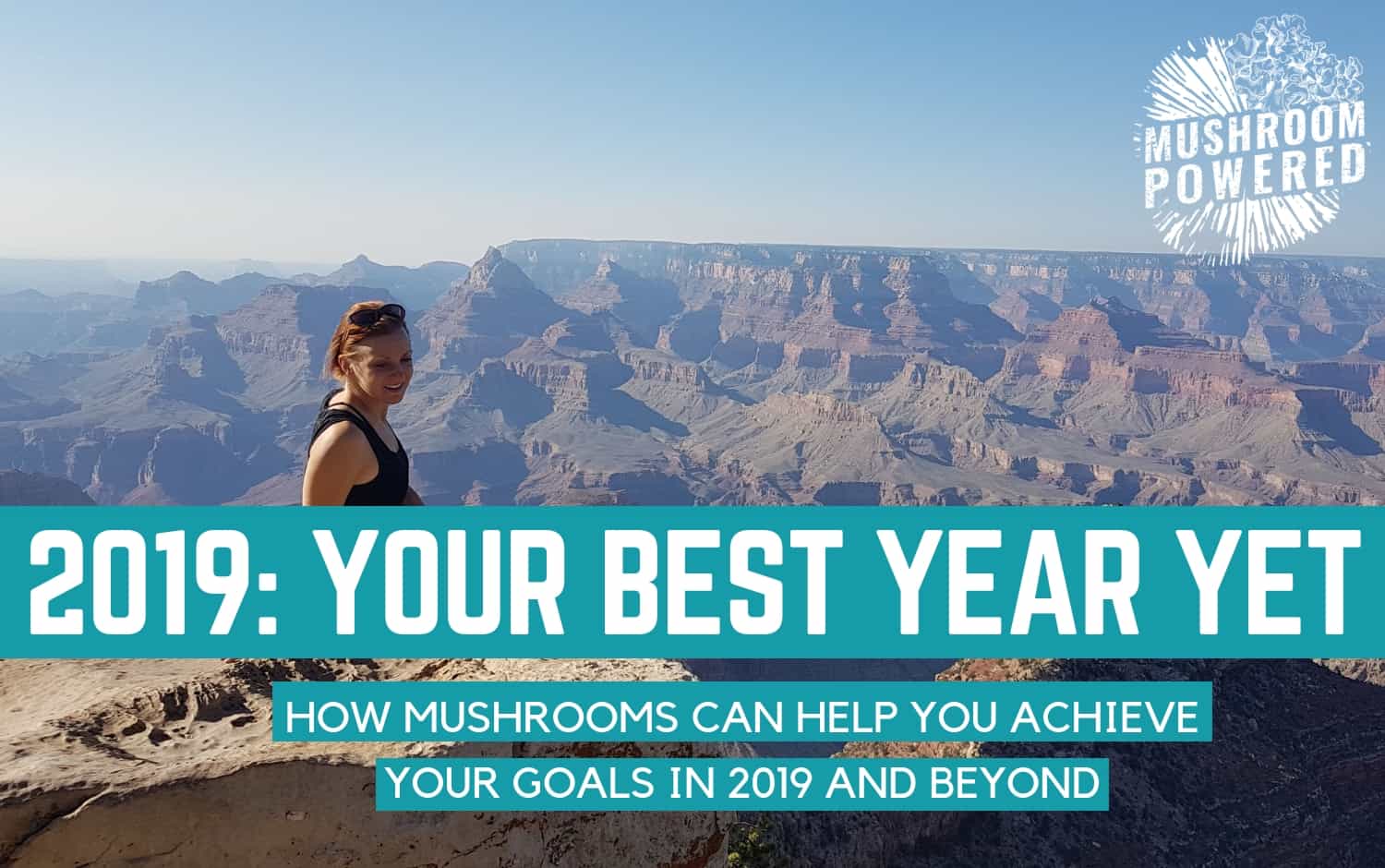 How Mushrooms Can Help You Achieve Your Goals in 2019