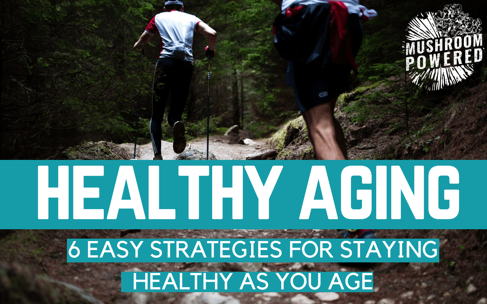 6 Strategies To Achieve Healthy Aging