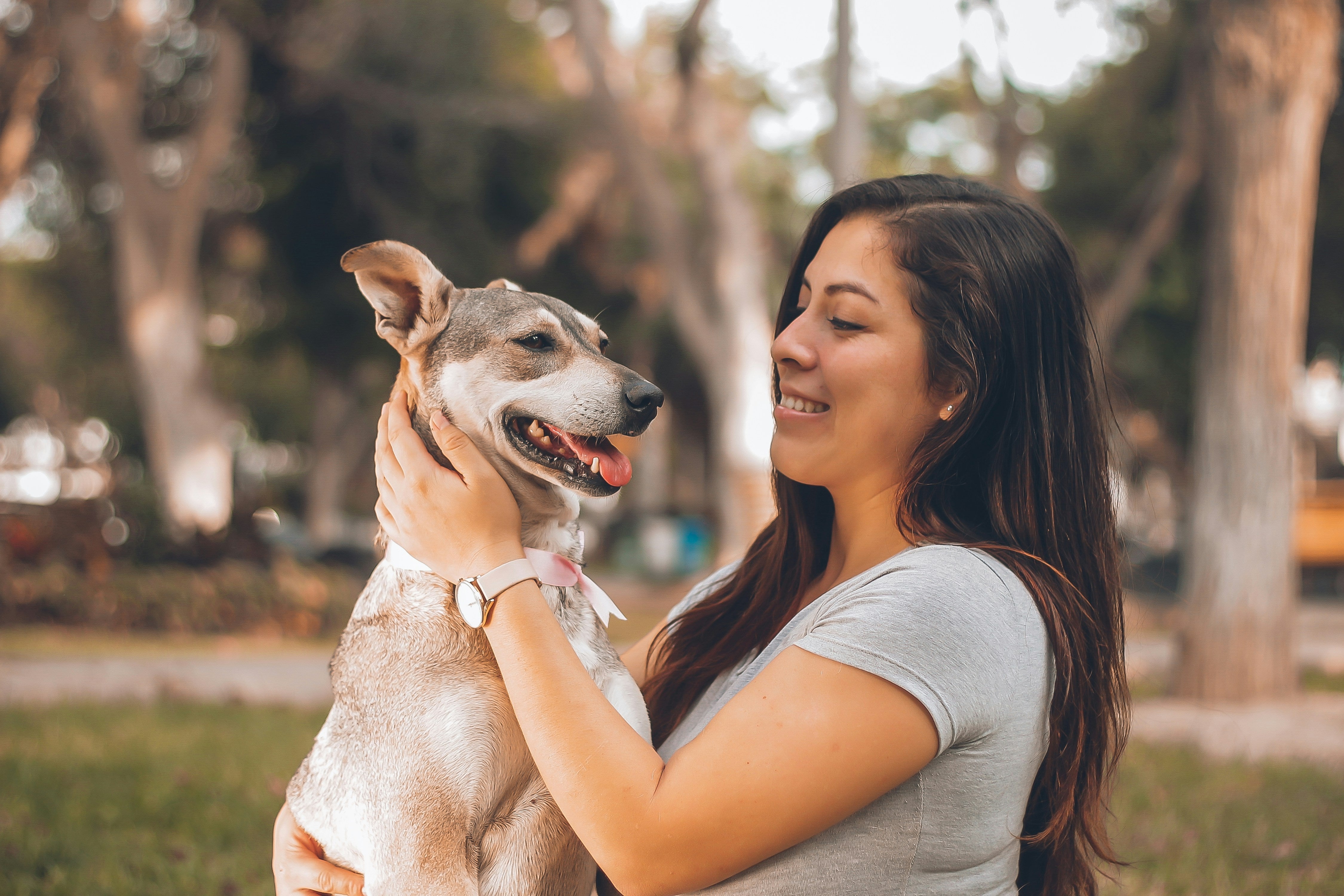 A Daily Mushroom Ritual for Your Dog: Why Consistency Matters for Pet Wellness