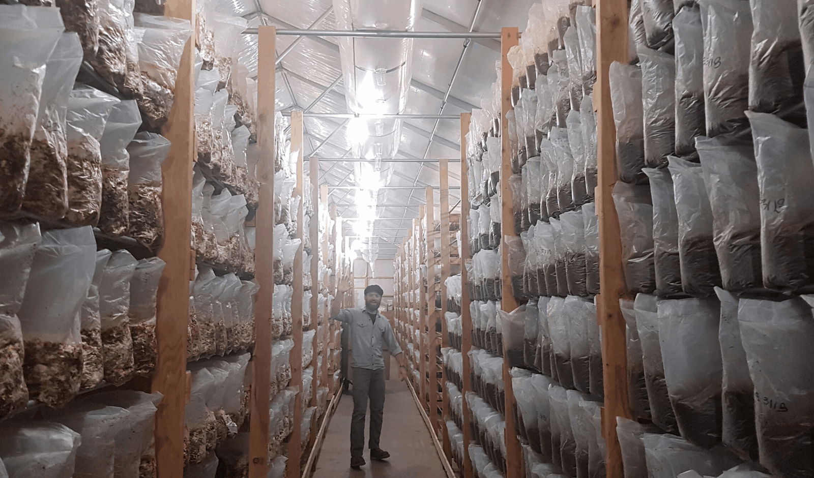 Grower Profile: Cascadia Mushrooms in Bellingham, Washington