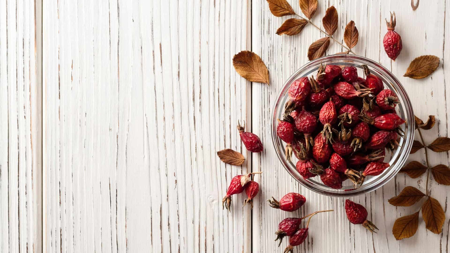 Everything You Need to Know about Rose Hip Tea