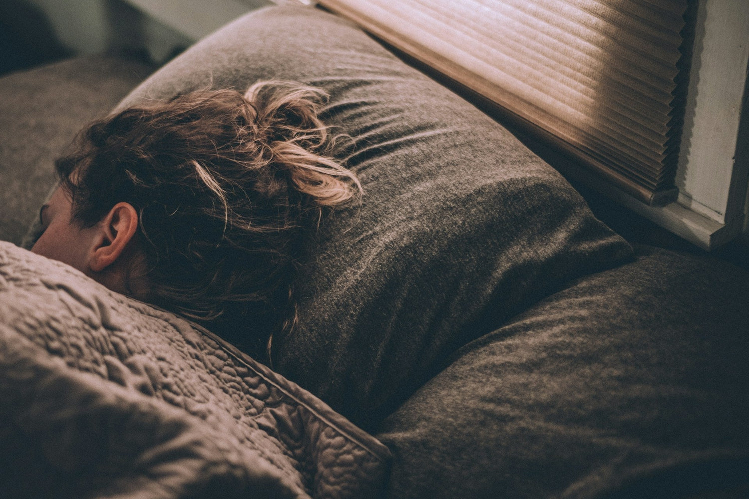 Evening Reset: How Reishi + Chaga Help You Unwind and Recharge