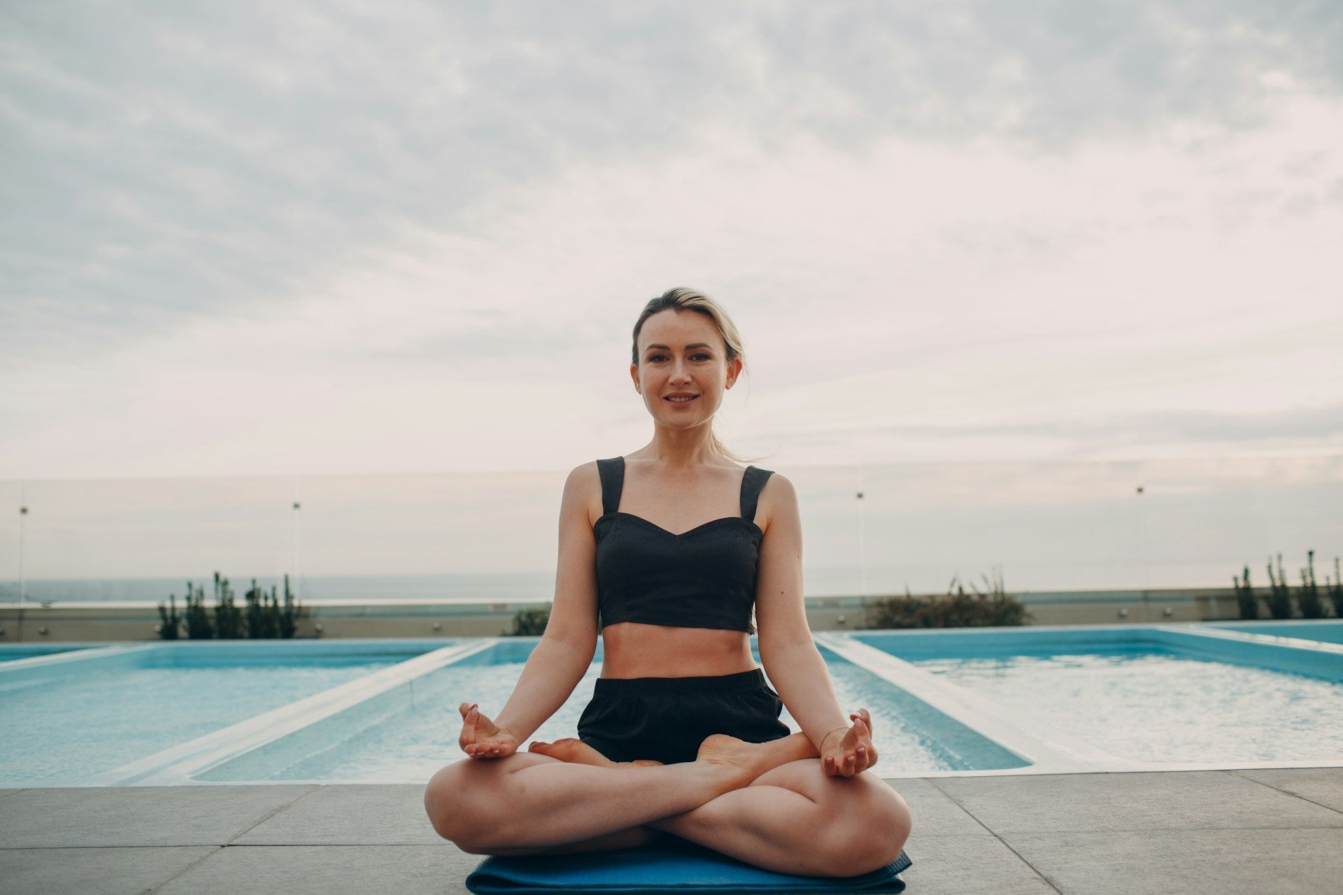 Reishi & Turkey Tail: The Perfect Pair for Calm + Balance