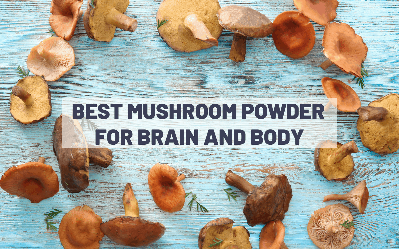 8 Types of Mushroom Powder for Brain and Body