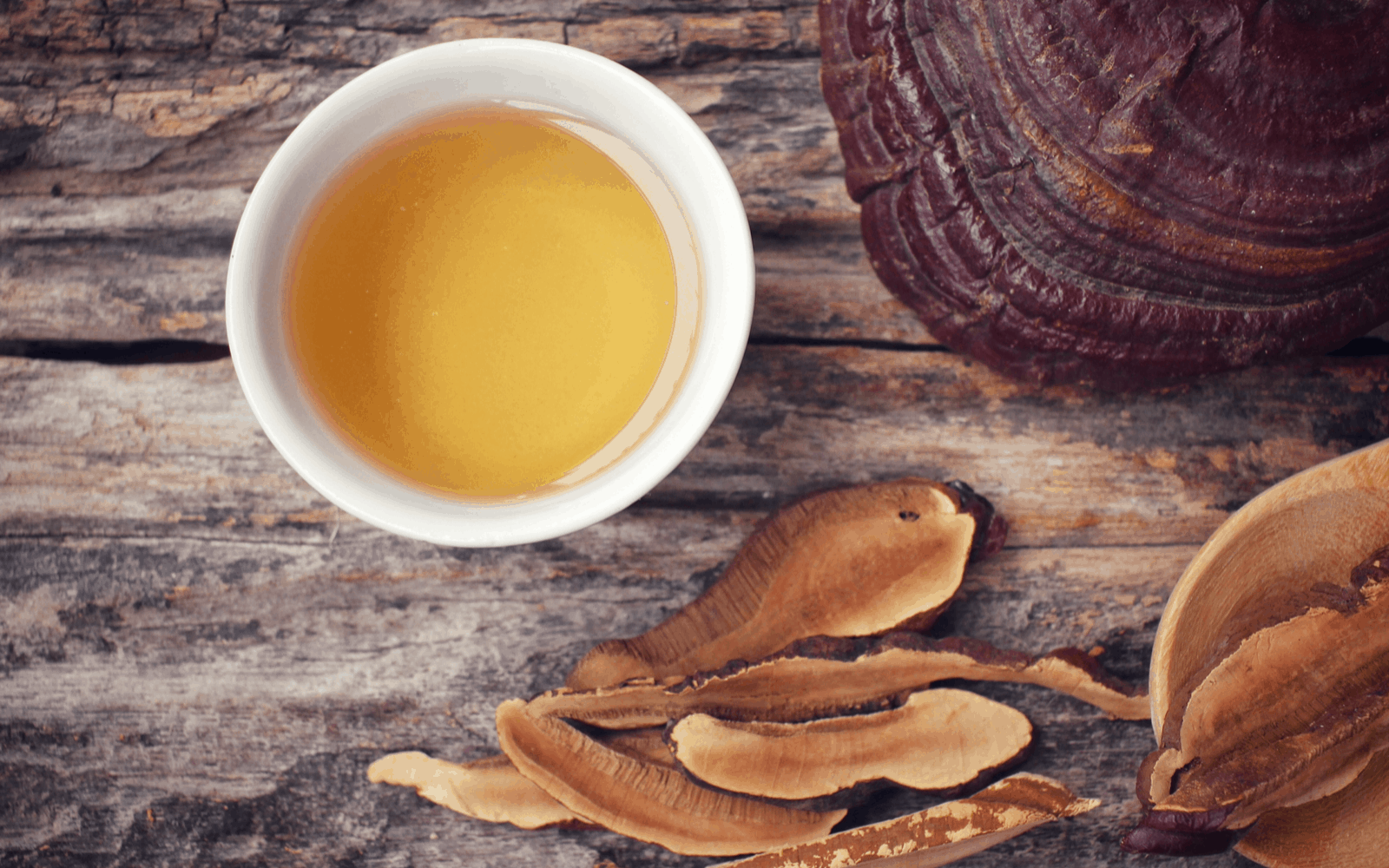 Is There a Best Time to Take Reishi? What You Need to Know