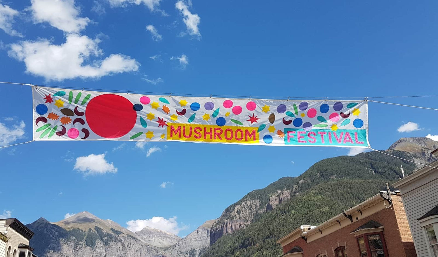 Telluride Mushroom Festival - Should You Go?