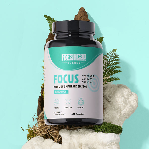 Focus Blend Mushroom Extract Gummies