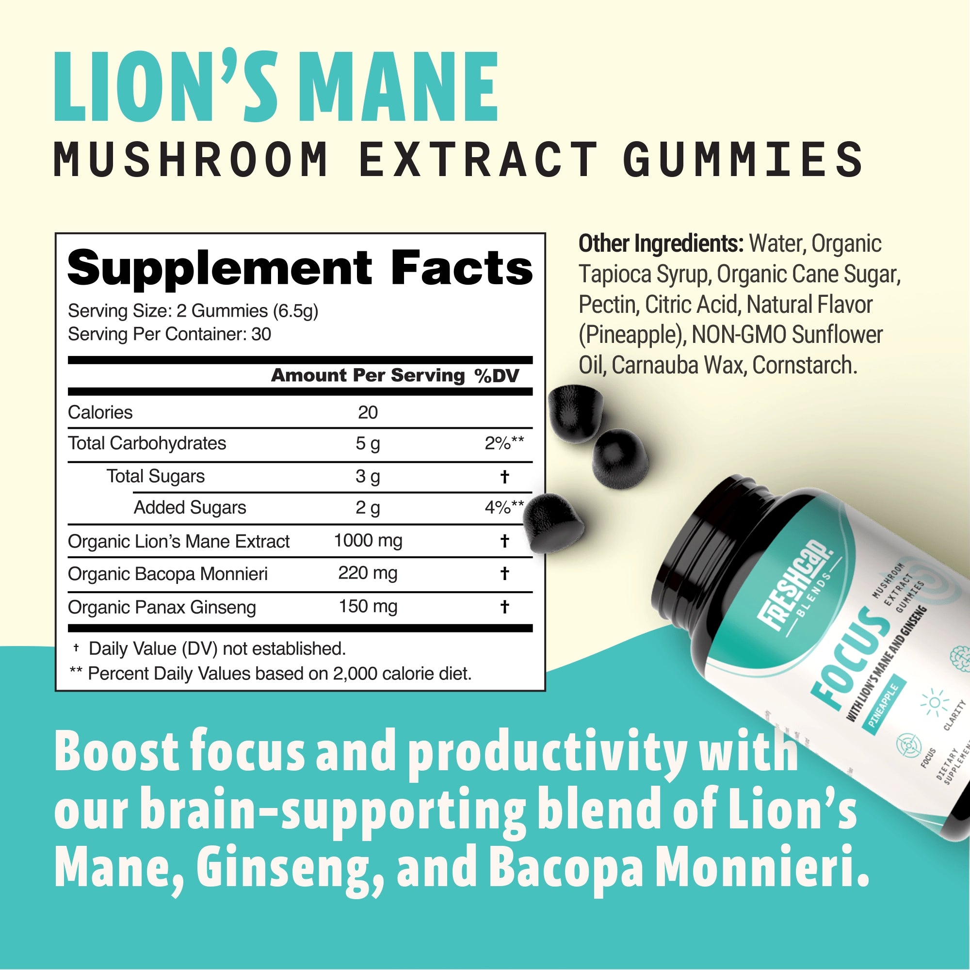 Focus Blend Mushroom Extract Gummies