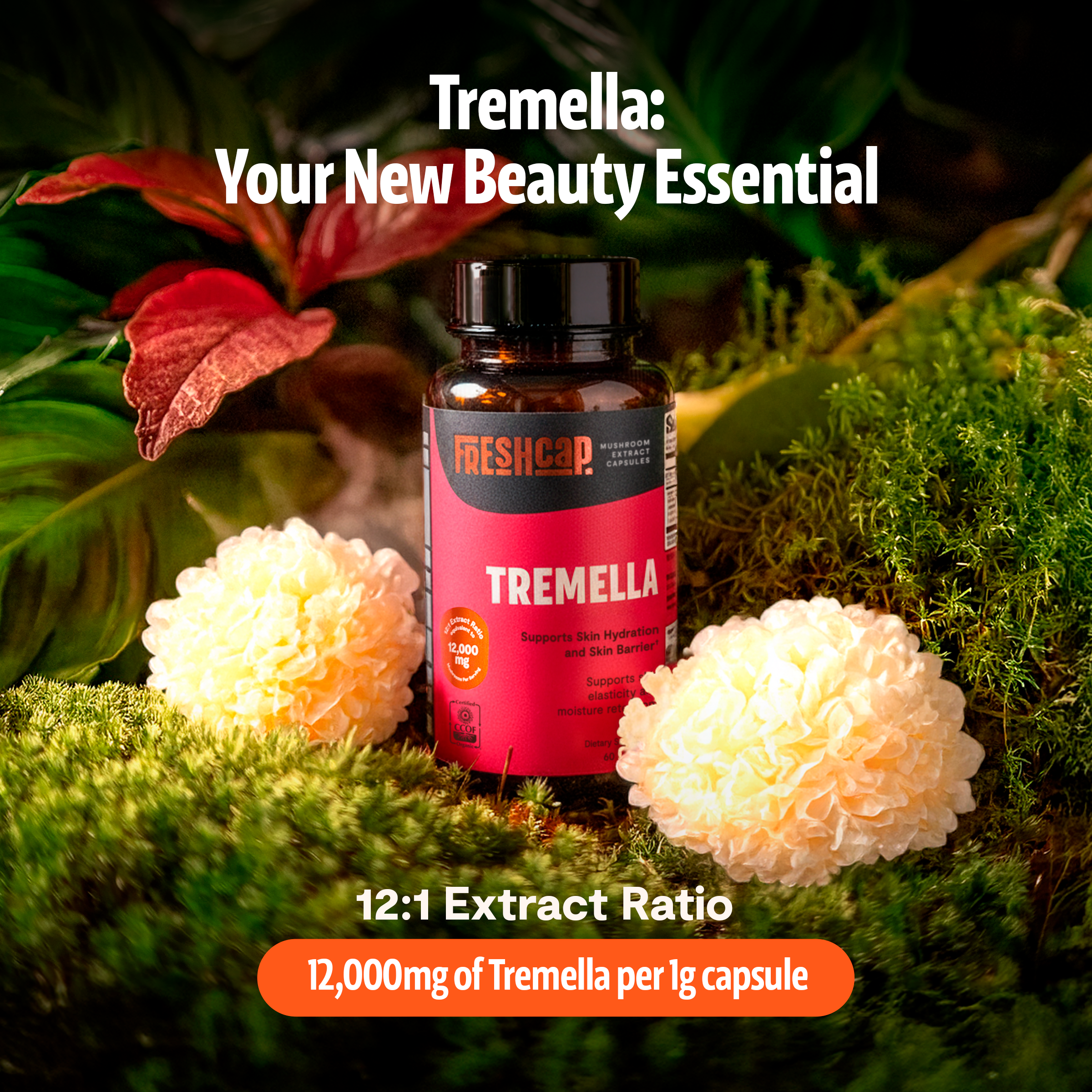 Tremella Mushroom Capsules