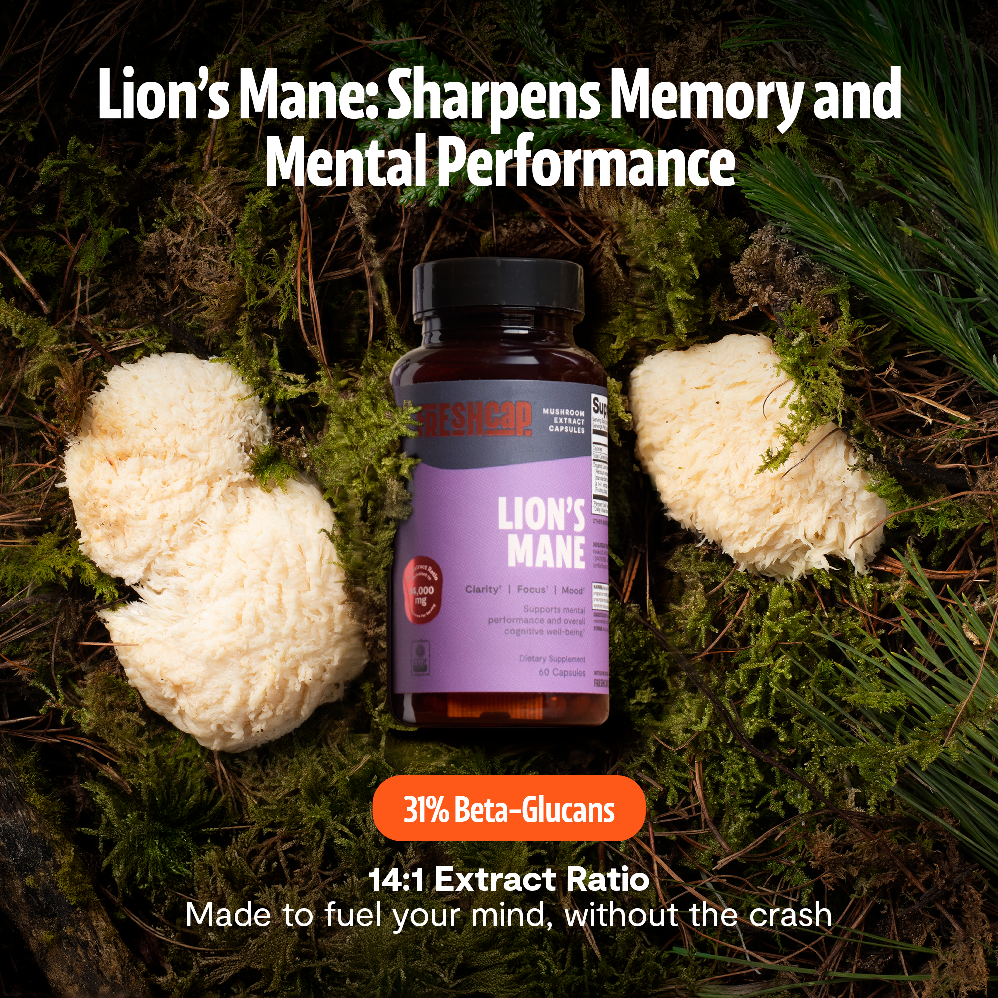 Lion's Mane Mushroom Extract Capsules