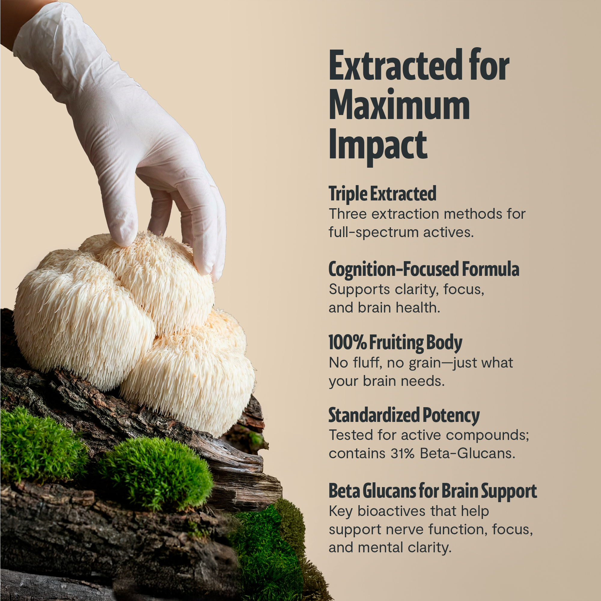 Lion's Mane Mushroom Extract Capsules