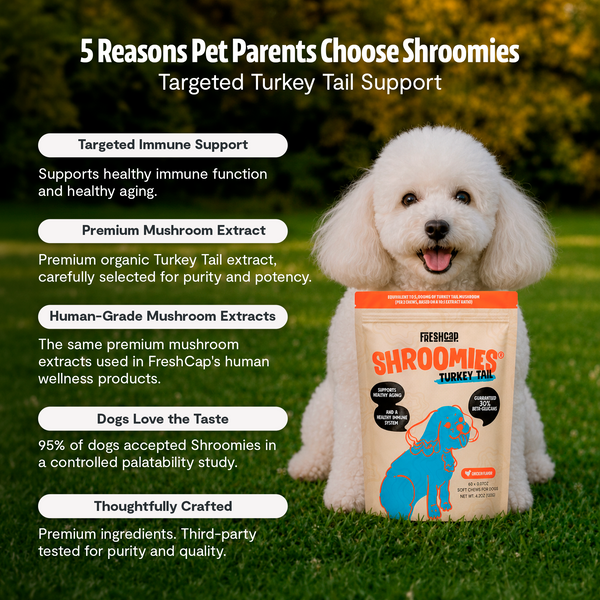 Shroomies Turkey Tail Mushroom Chews For Dogs