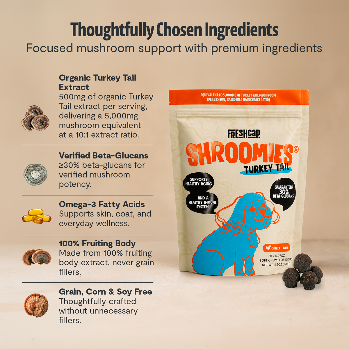 Shroomies Turkey Tail Mushroom Chews For Dogs