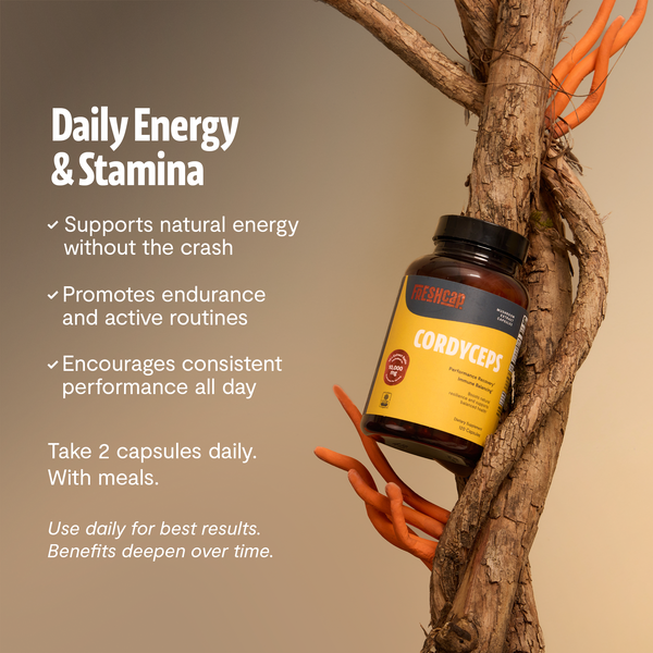 Cordyceps Mushroom Extract Capsules
