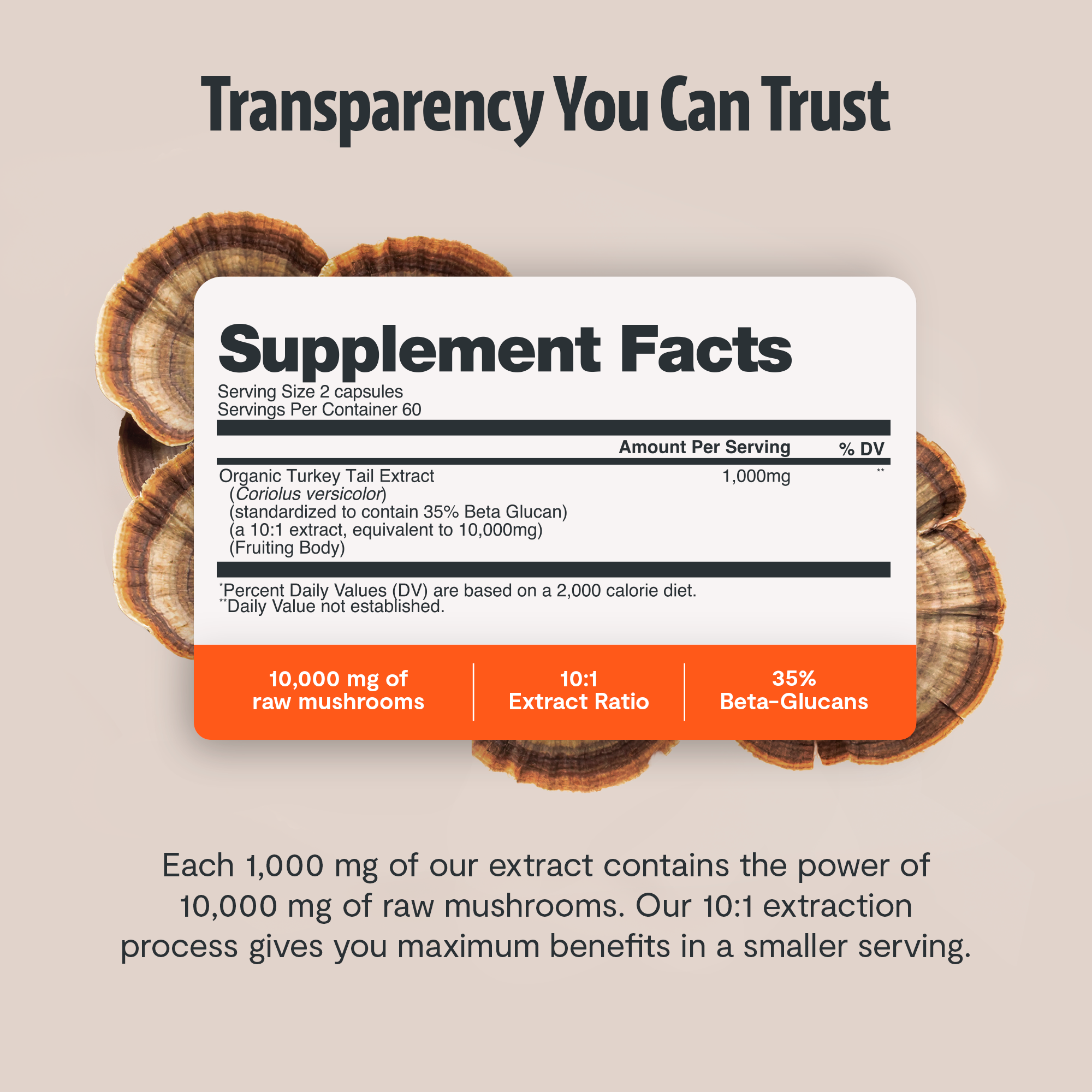 Turkey Tail Mushroom Extract Capsules