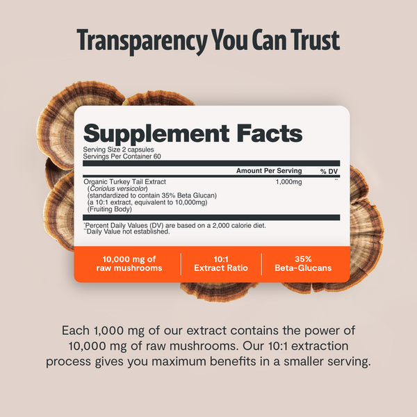 Turkey Tail Mushroom Extract Capsules