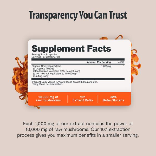 Cordyceps Mushroom Extract Capsules