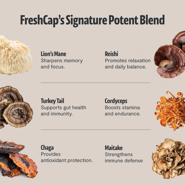 Ultimate Mushroom Coffee (45-servings) - New Customers